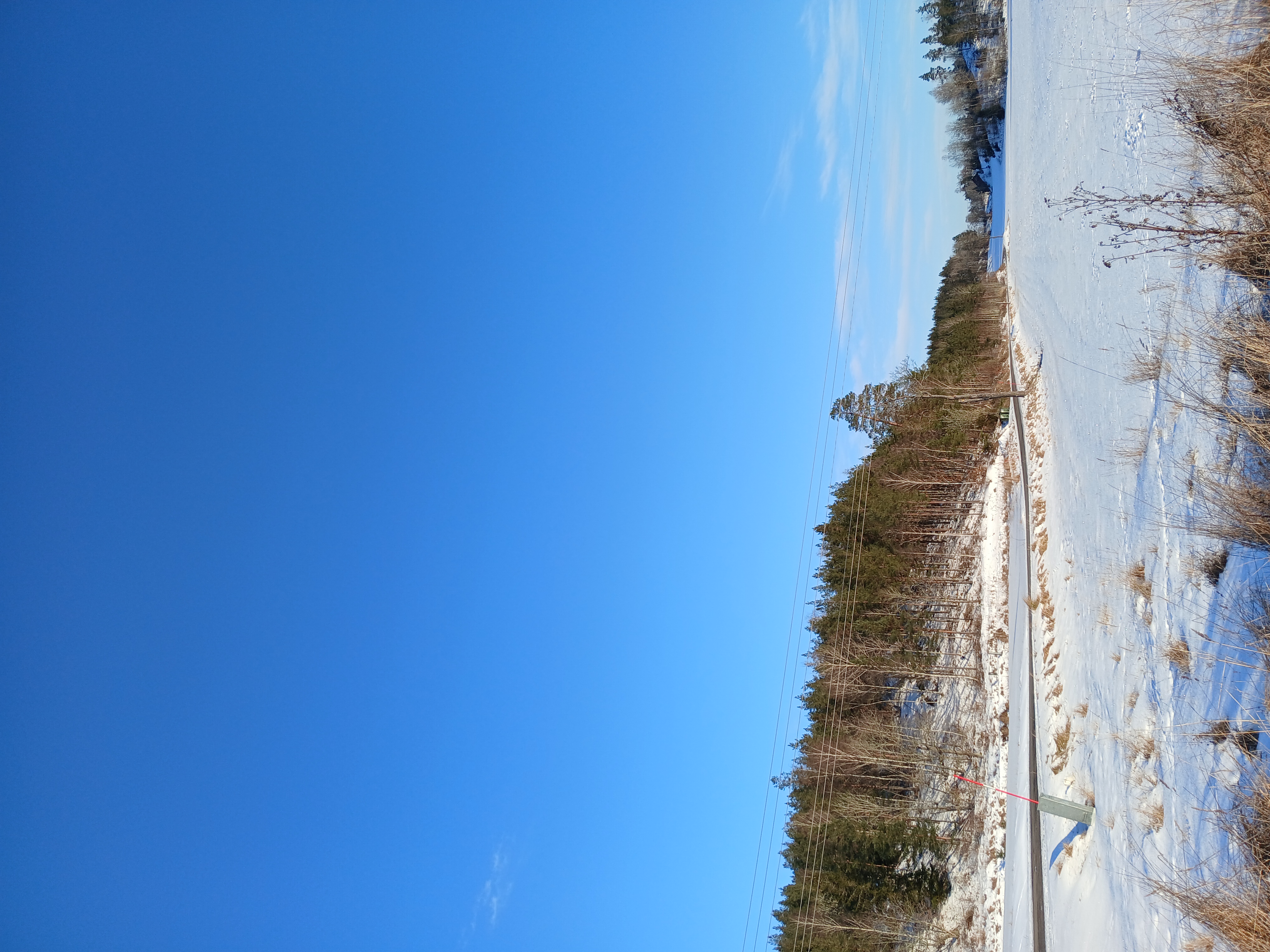 Как у меня выявили СДВГ средней тяжести и нетипичный аутизм в 45 лет