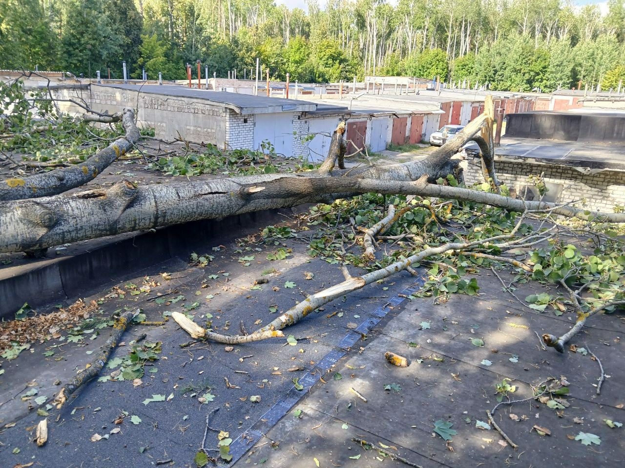 7 способов научить бабушку и дедушку заводить друзей