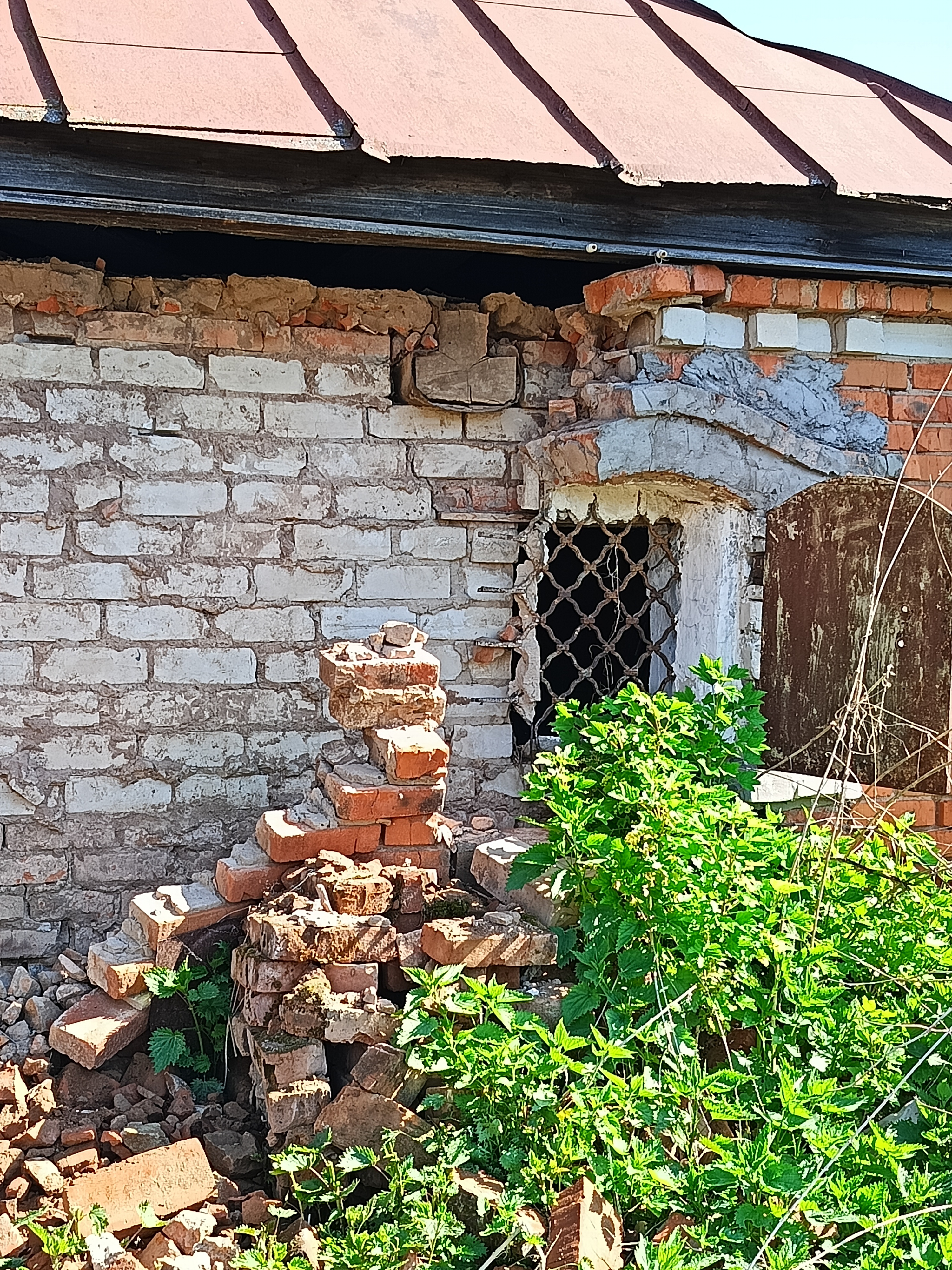 Трансформация, дача и новая работа: мои итоги 2025 года