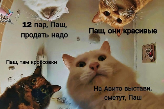 Я пытался развивать бизнес по перепродаже кроссовок, но понял, что это не мое