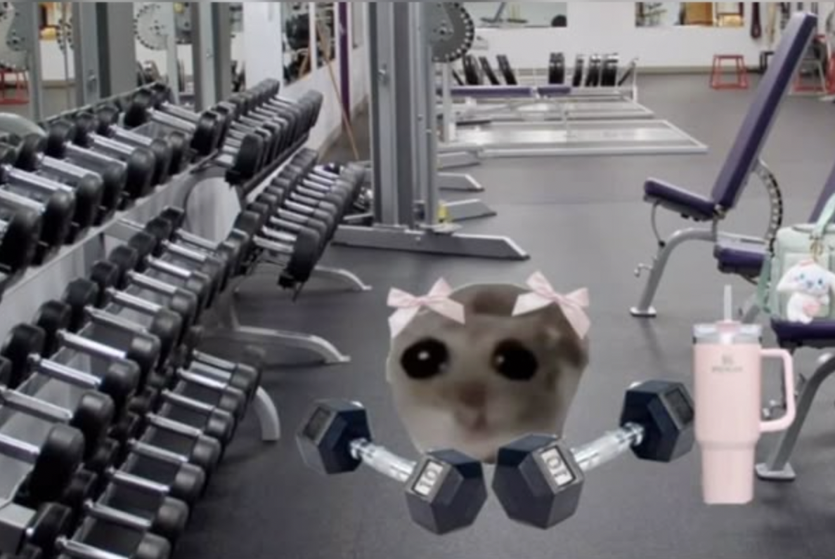 Как я выбирала зал и тренера и сходила на первую тренировку