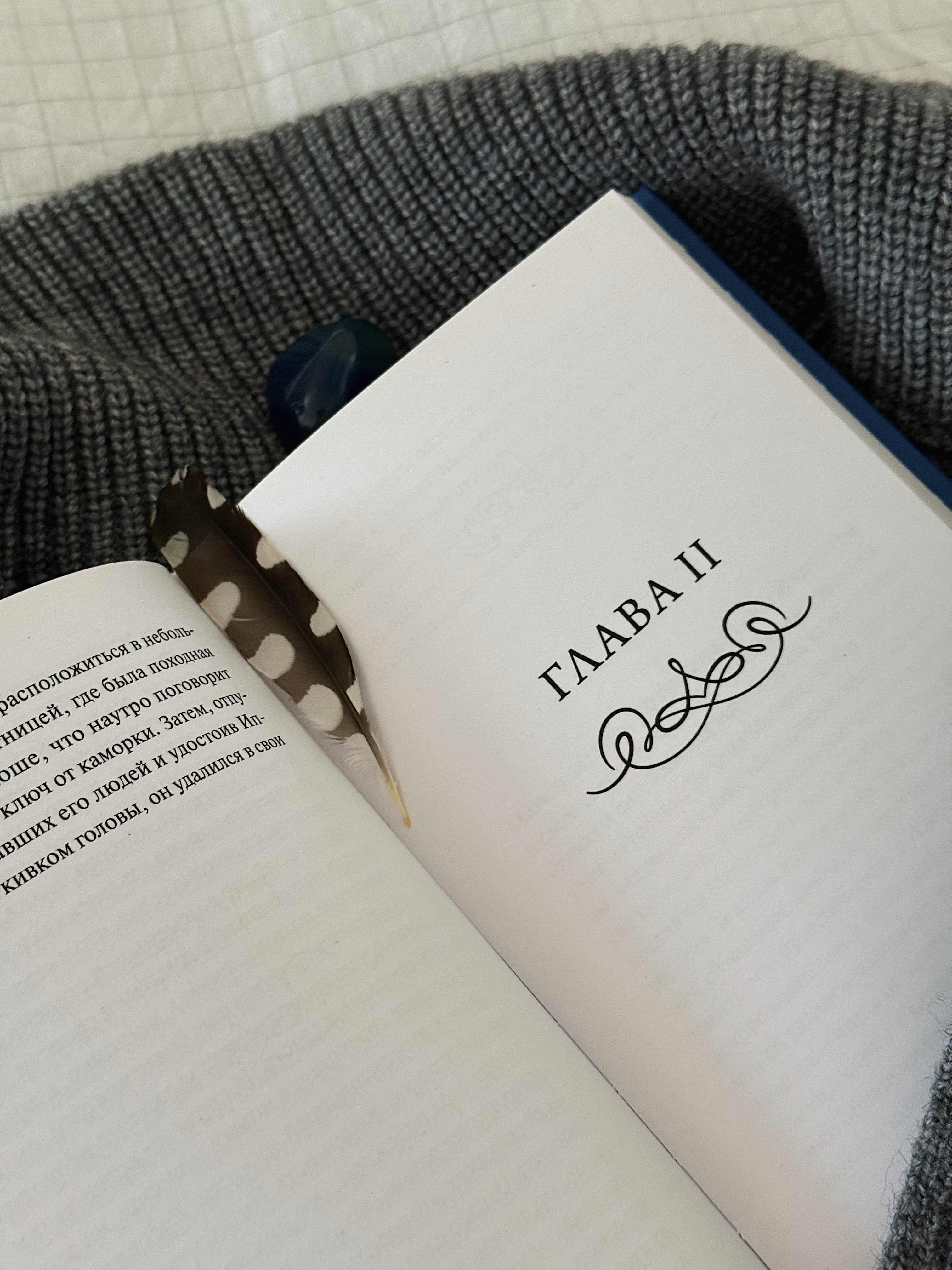 Я планирую в 2026 году прочитать немного больше книг, чем в 2025