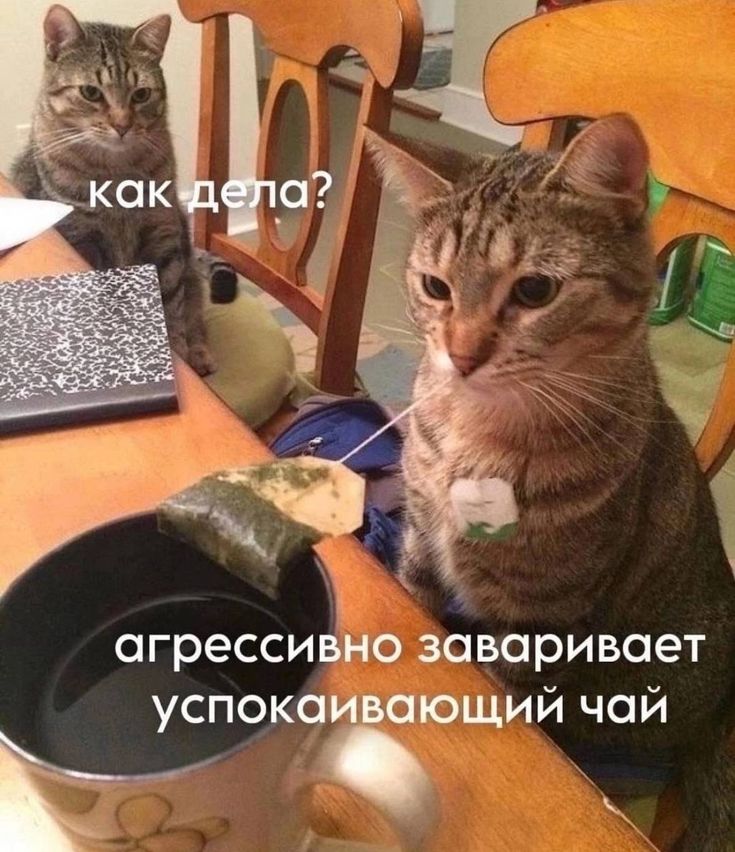 Я планирую снова получать удовольствие, «бубнеть» или полыхать от книг