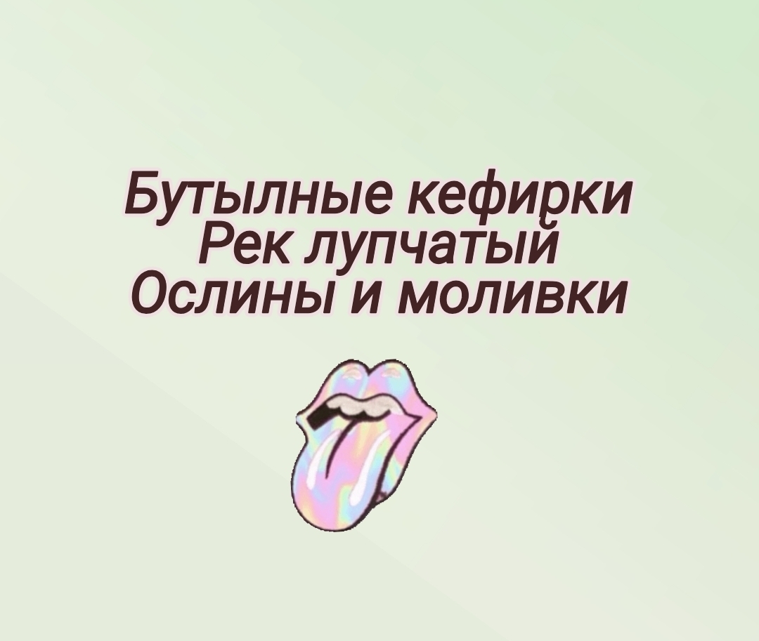 Спунеризм: как мозг иногда шутит с нами и путает слоги
