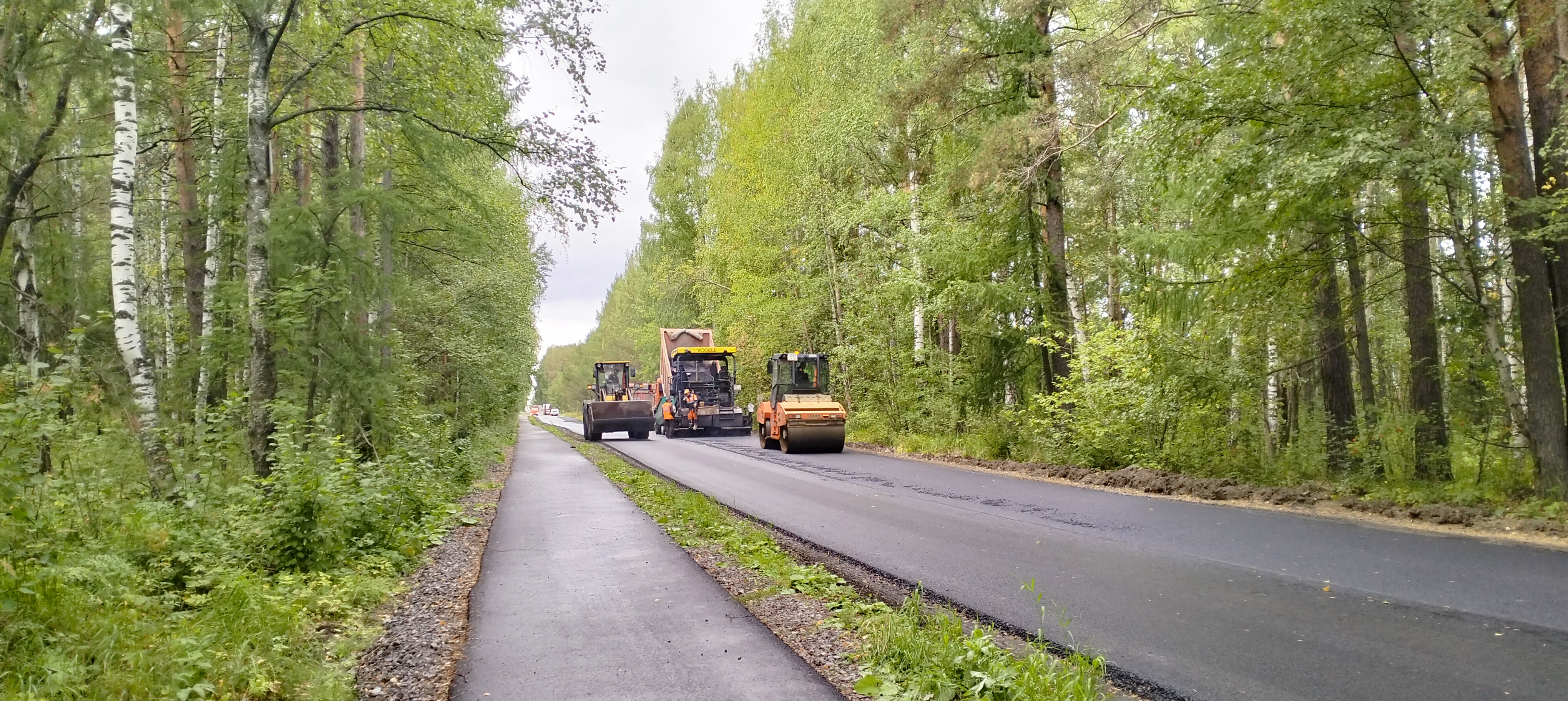 Дорога: велосипедная дорожка в лесу