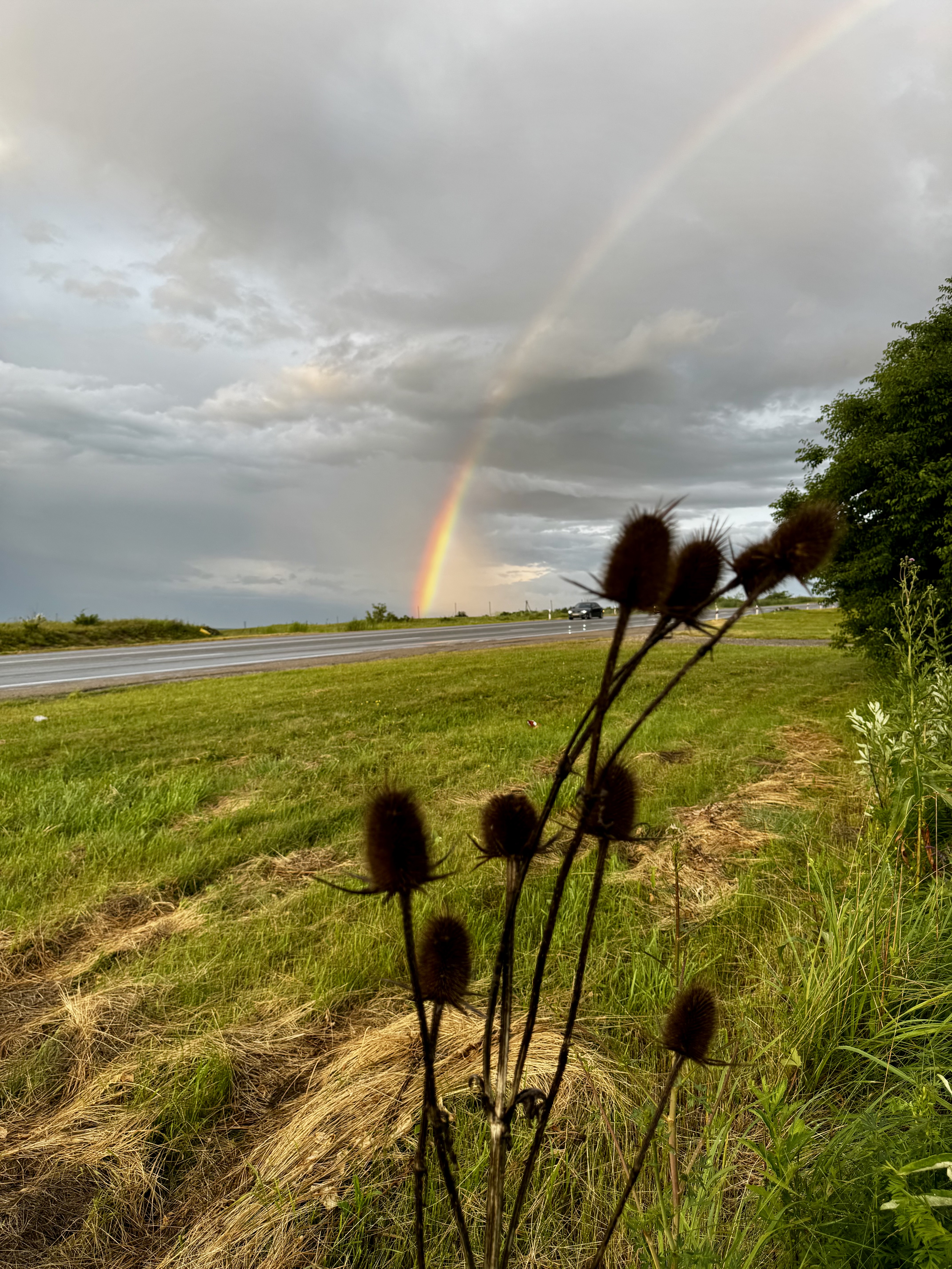Фотоальбом: как мы съездили в Батуми на машине в августе 2025 года