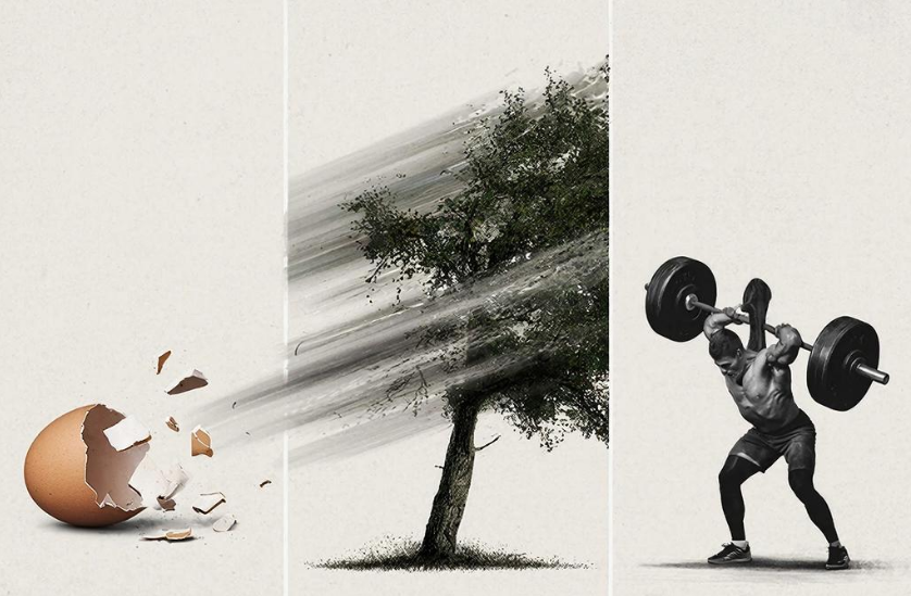 «Бизнес-иммунитет»: как строить устойчивую к кризисам компанию