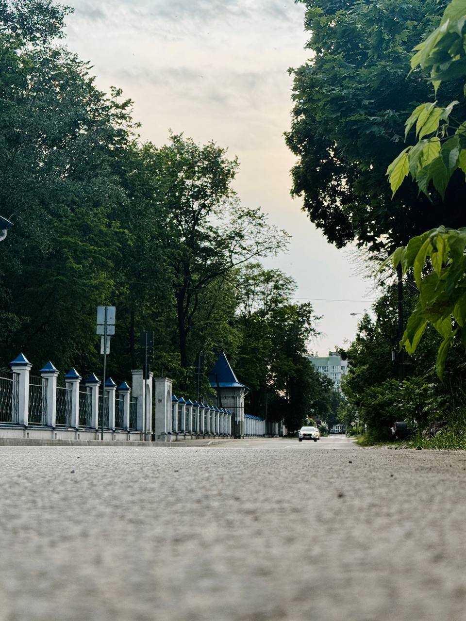 Съемка дороги: перспектива