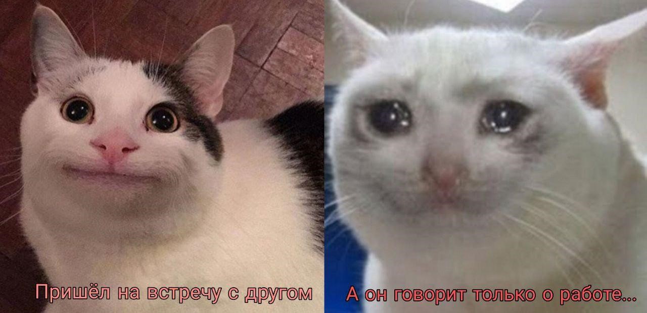 «Паш, локти кусаешь?»: как я, кажется, потерял друга