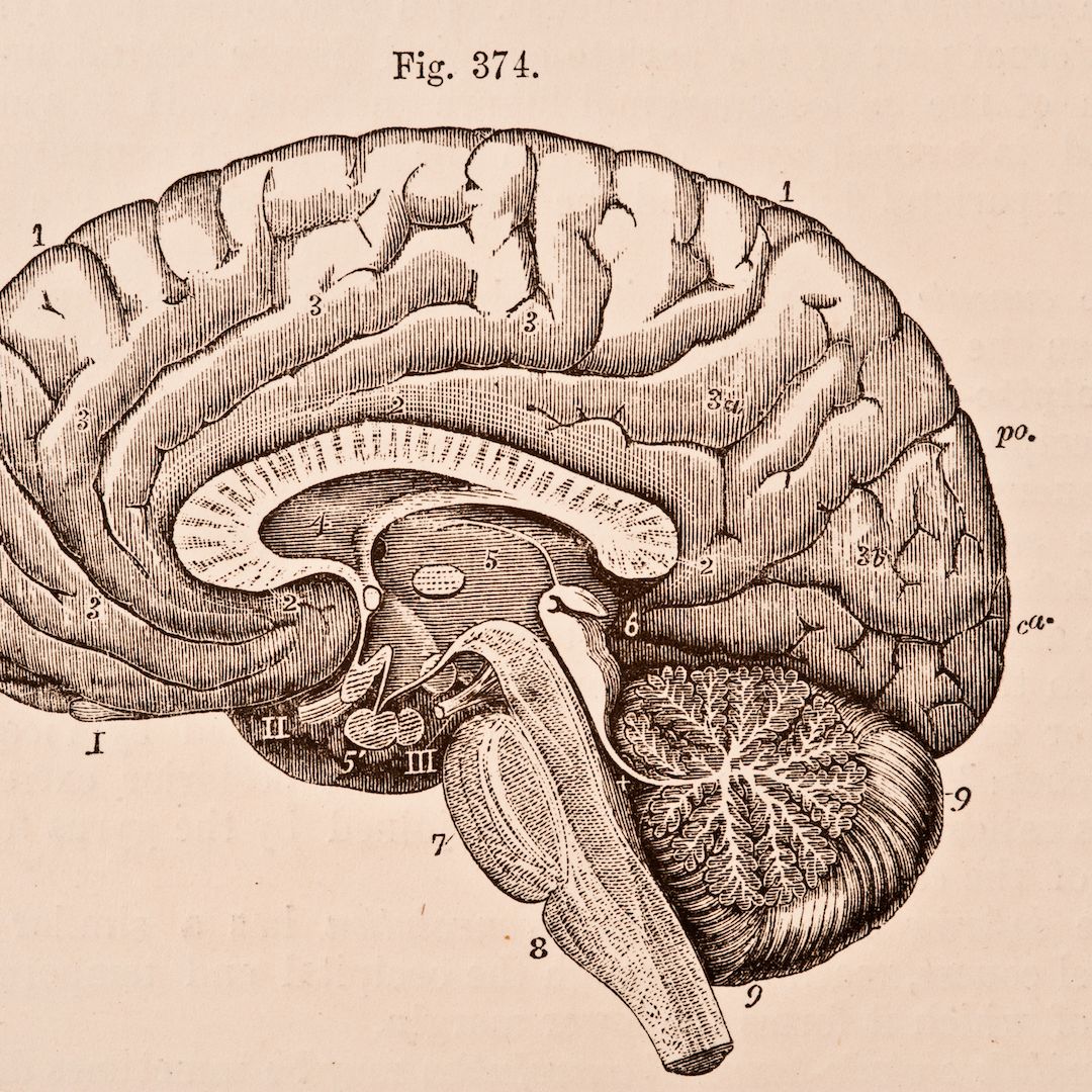 Величайший баг в системе: что такое хроническая боль и как ее лечат