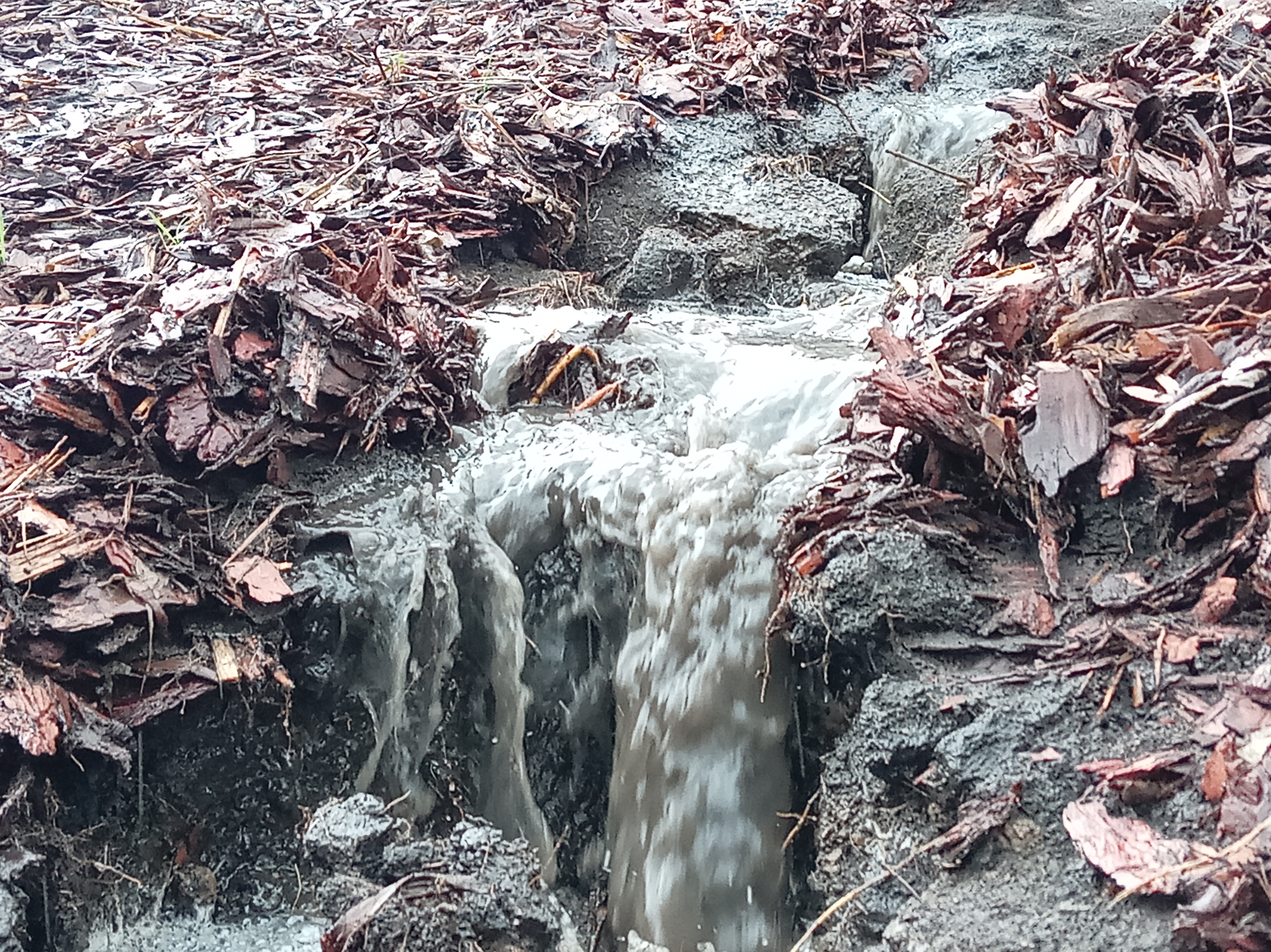 Мобильное фото: водопад