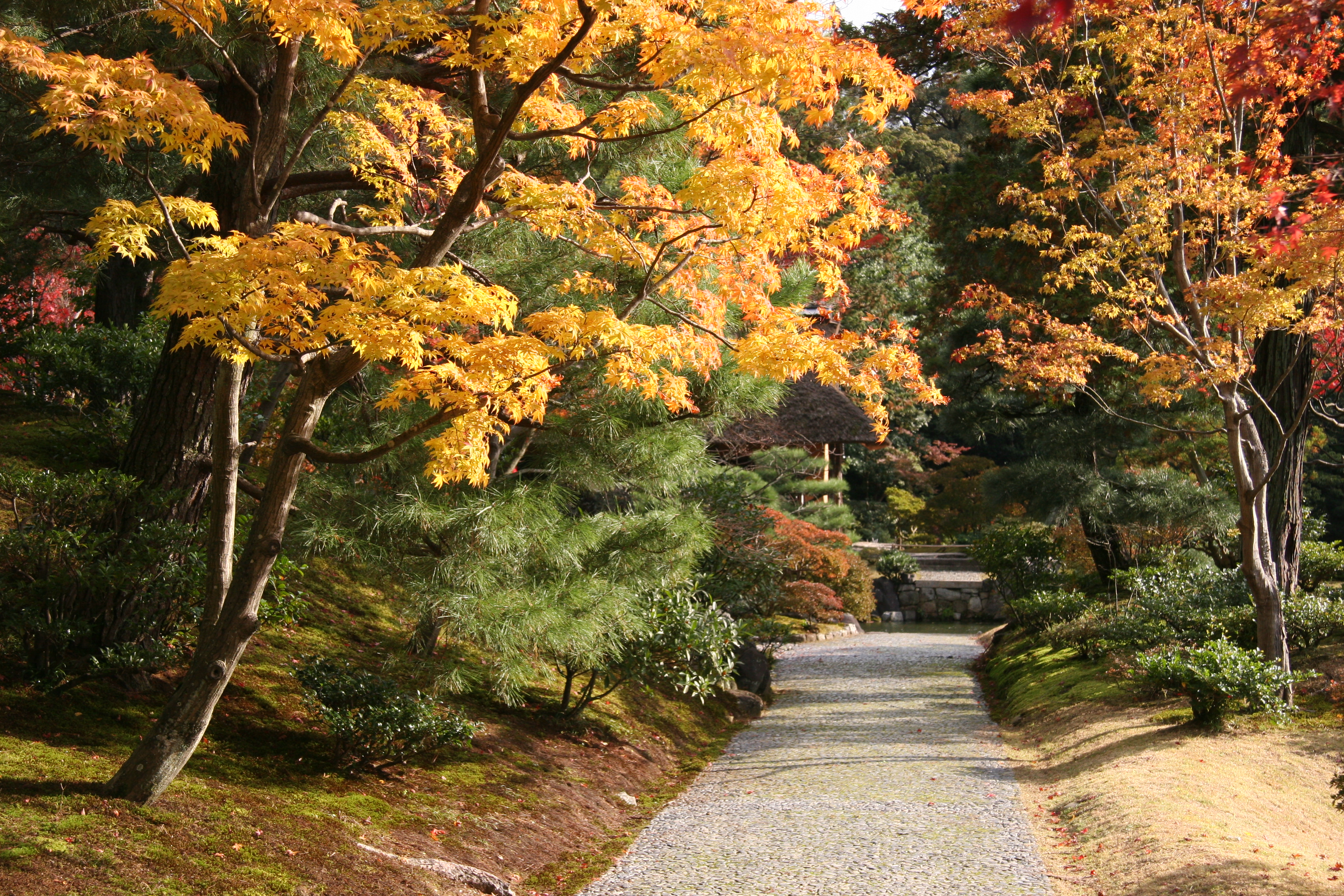 Как я понимаю закон единства и борьбы противоположностей