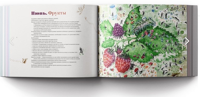 Январская чертовая дюжина: первые 13 книг этого года