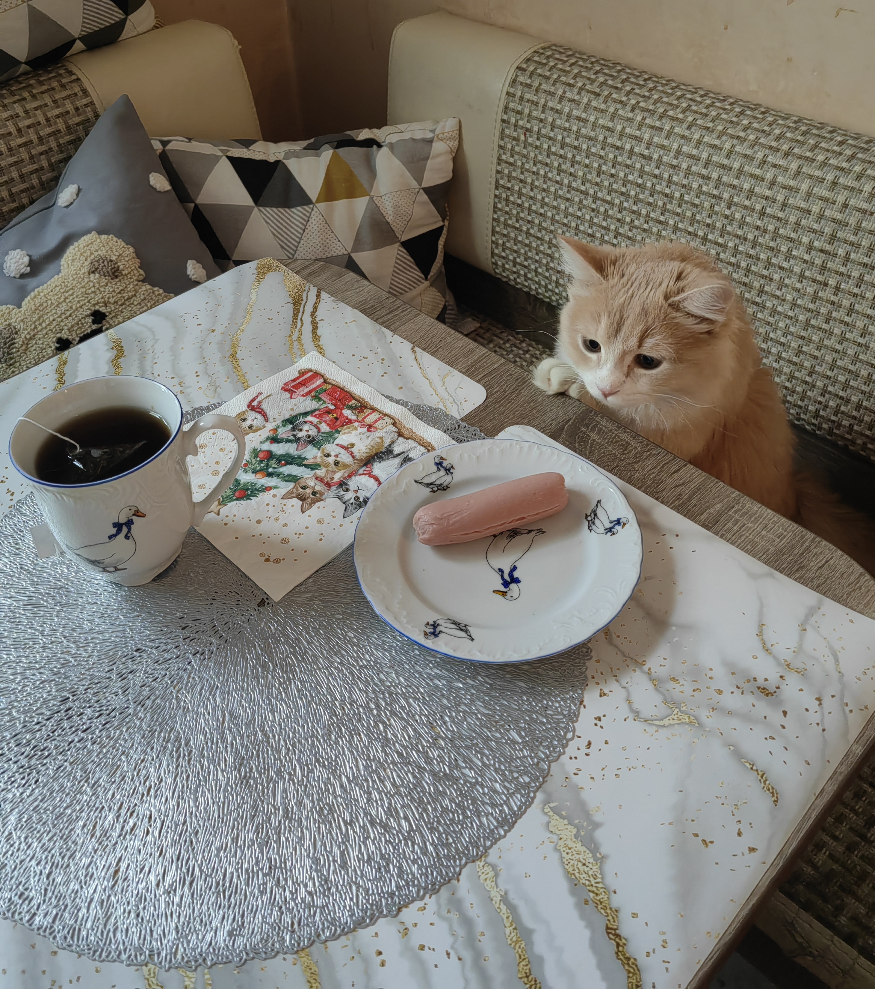 Фото питомца: кот Манюша с любопытством смотрит на сосиску