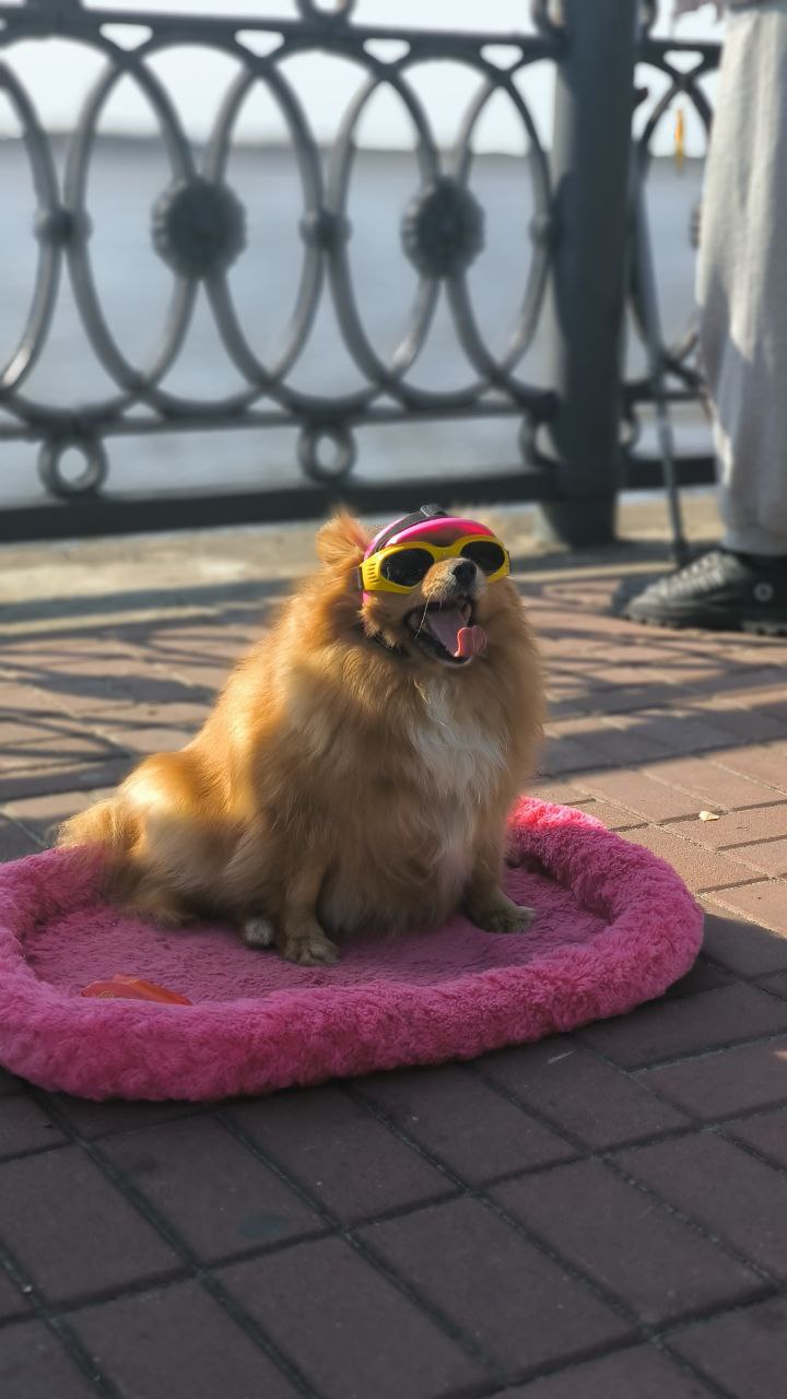 Моя анкета: Линейка