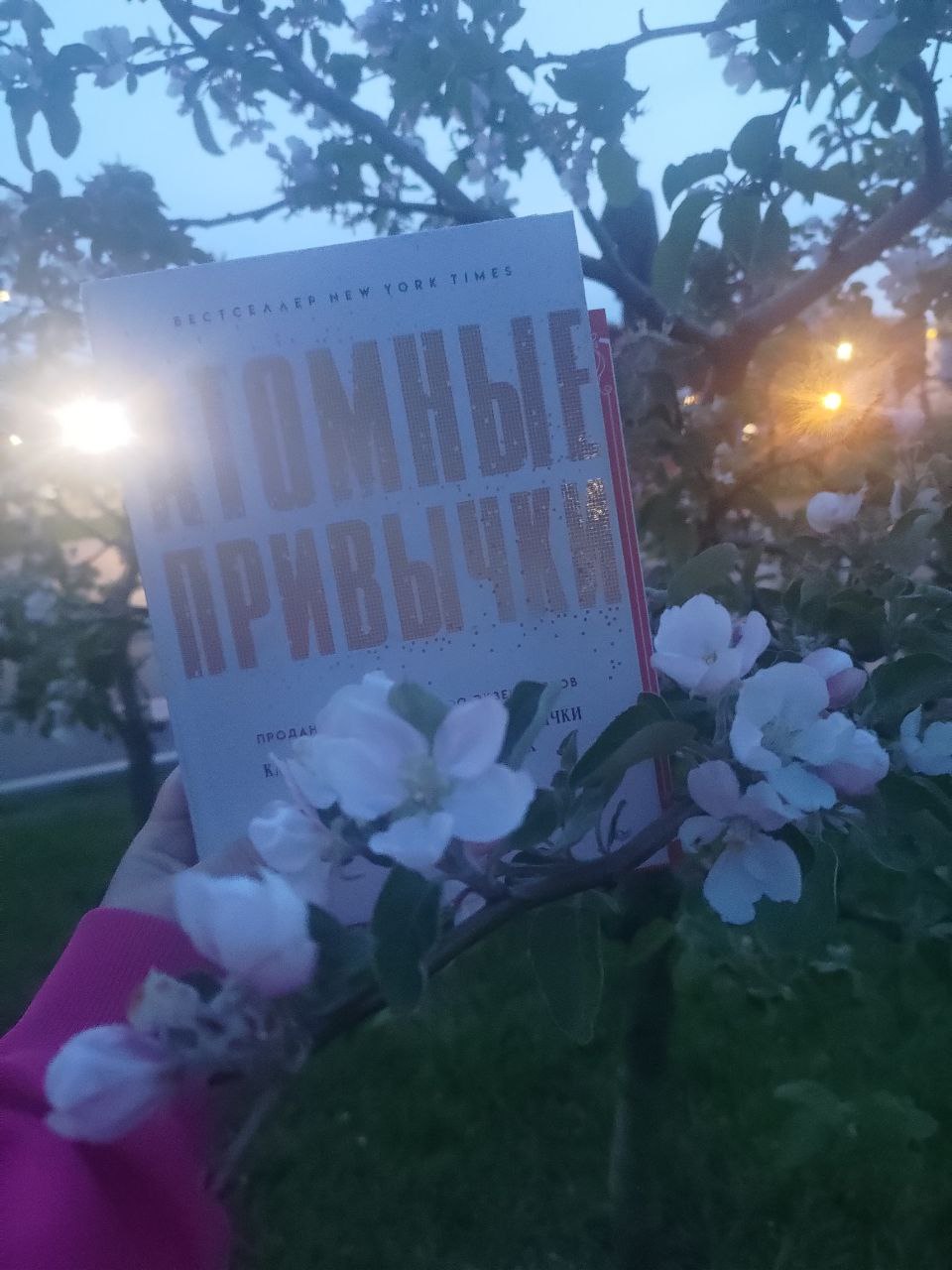 Я попробую целый год внедрять «атомные привычки»