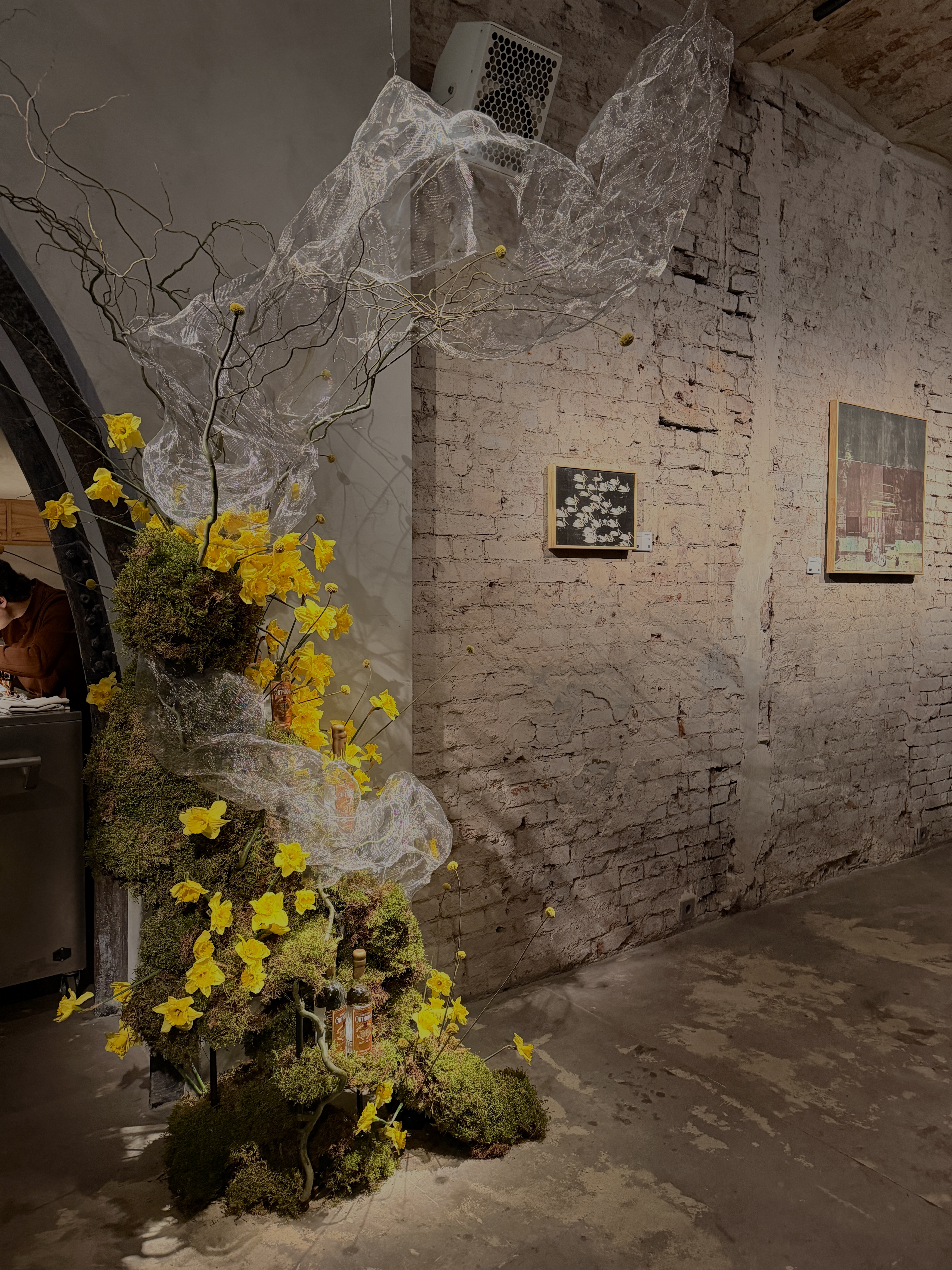 Стоит посетить: выставка «Эра Водолея» Алины Утробиной