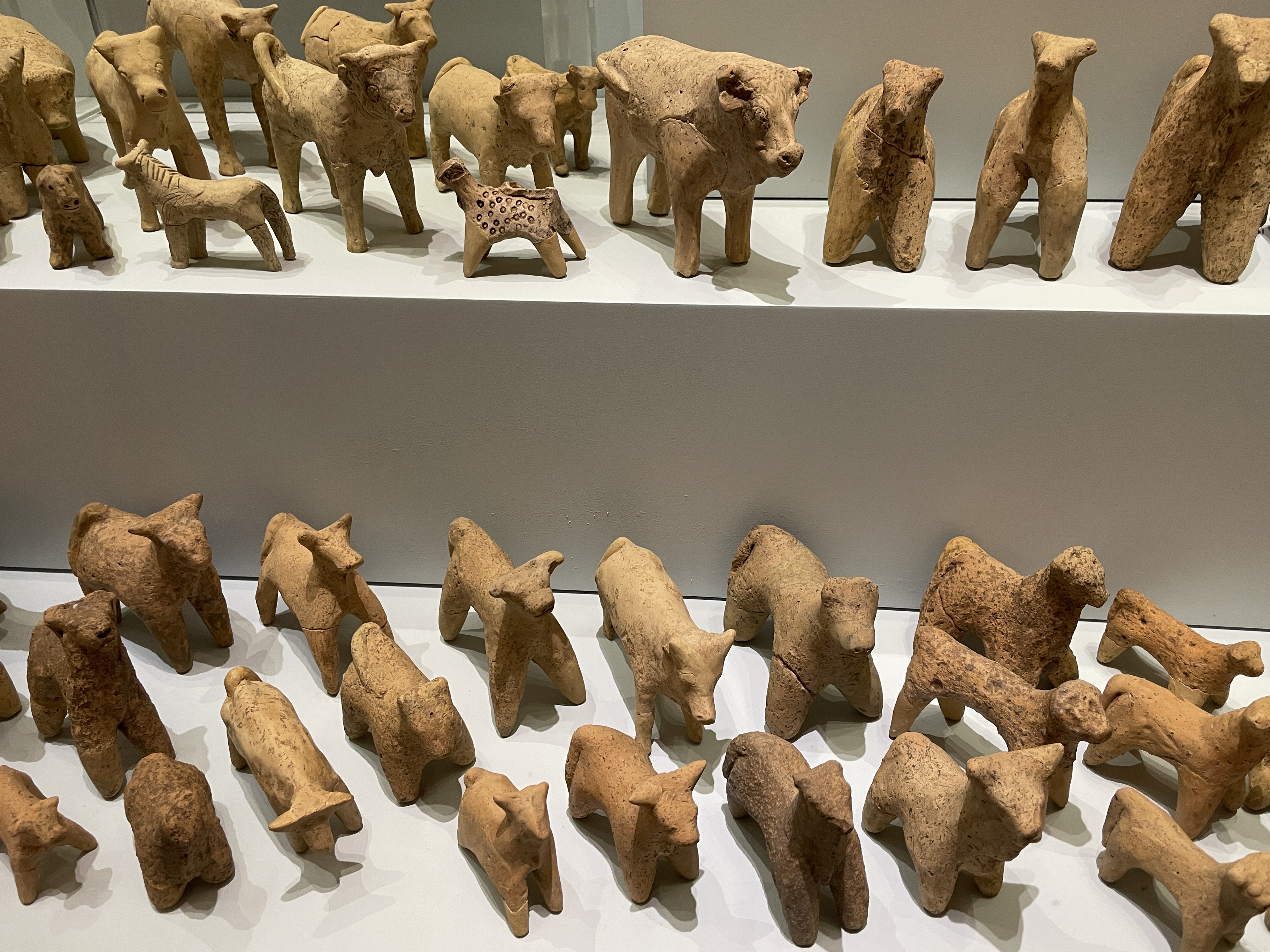 Фотоальбом: как мы съездили в Грецию в октябре 2025 года