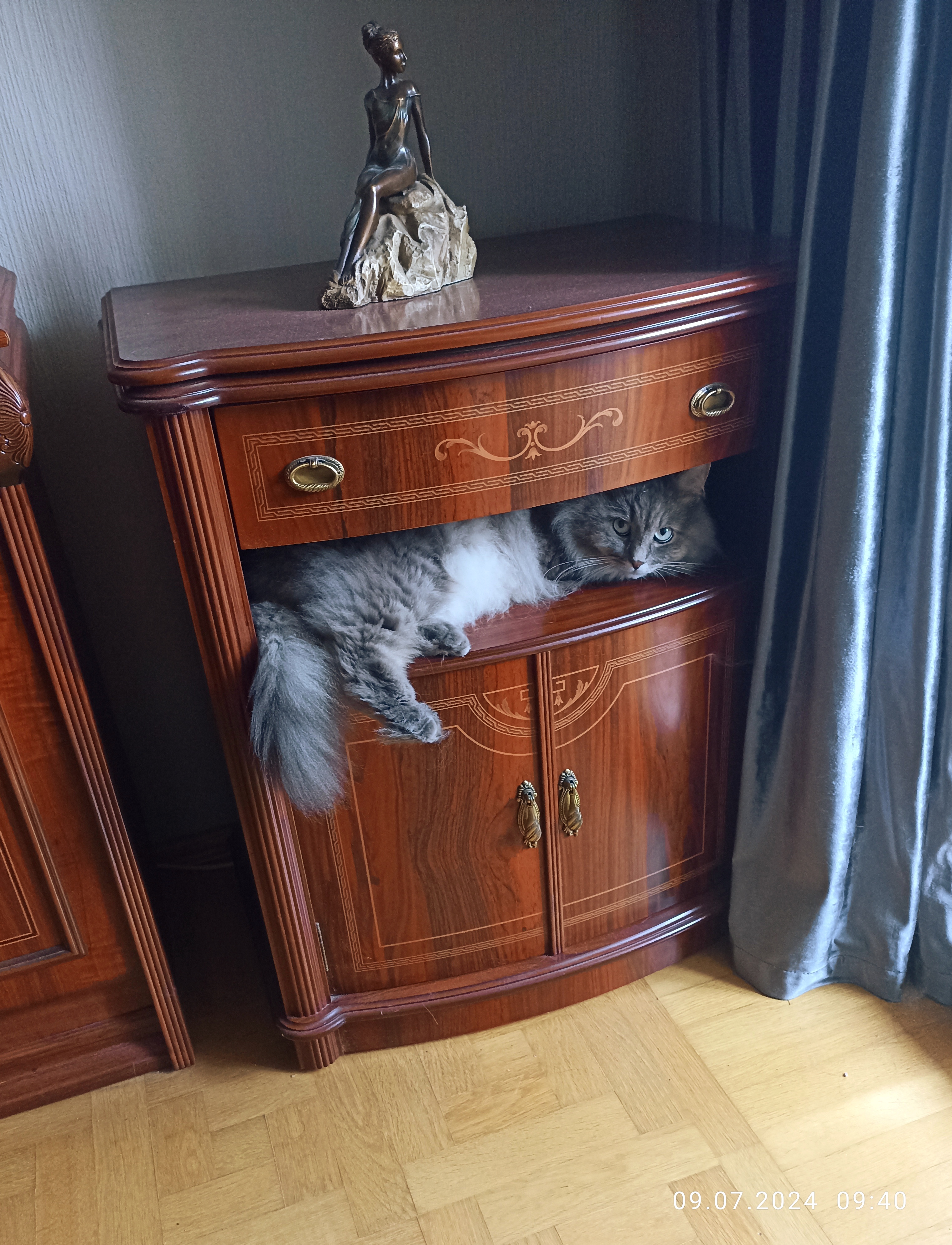 Фото питомца: кот Юджин отдыхает