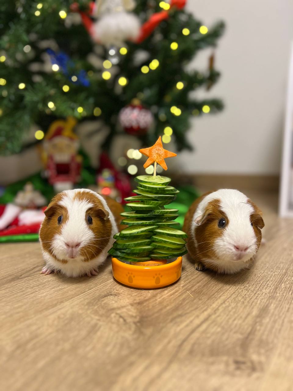 Фото питомцев: морские свинки Буся и Маруся позируют около праздничной елки из огурца и морковки