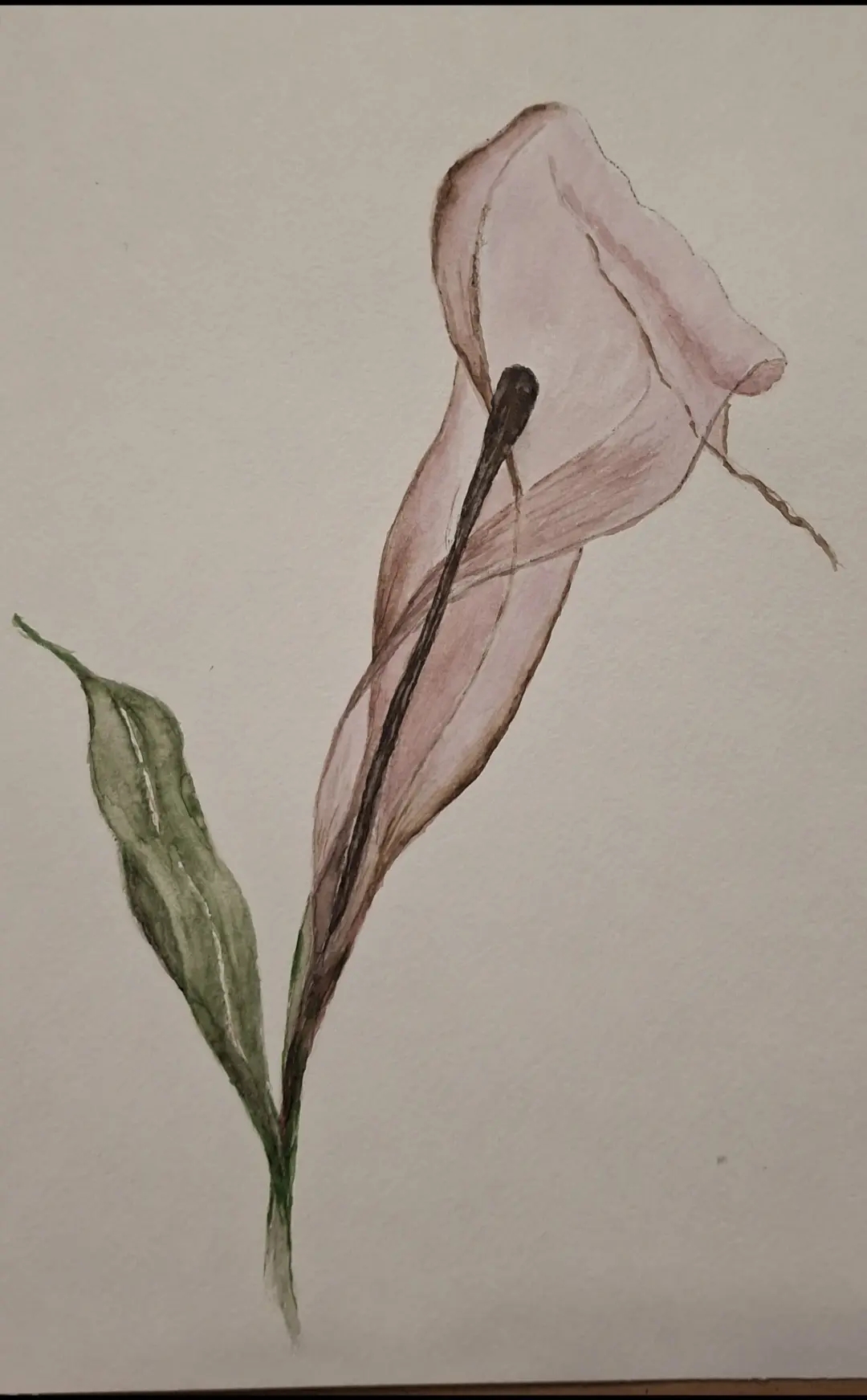 Мои рисунки: цветы в технике акварельной отмывки