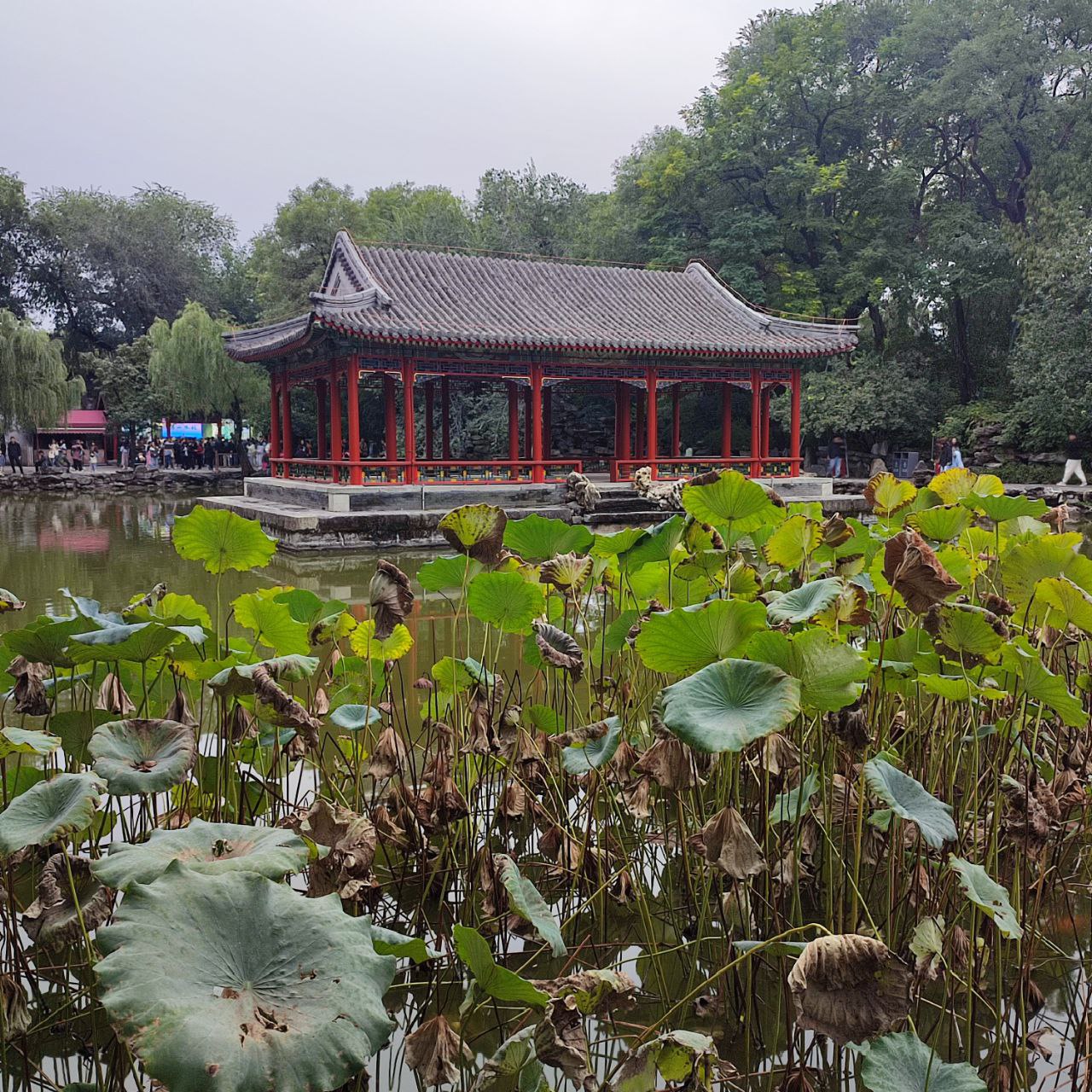 Как менеджер IT⁠-⁠проектов​ съездила в Китай в октябре 2025 года на 12 дней за 198 509 ₽