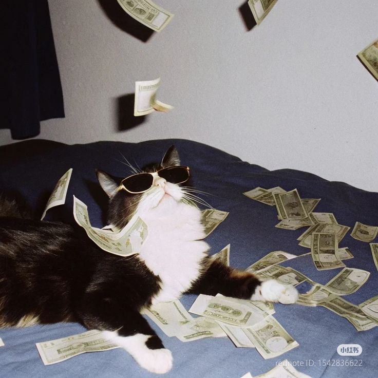 Я попробую накопить полмиллиона к концу марта 2026 года