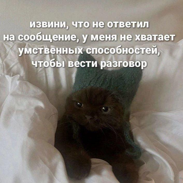 Поделитесь любимым мемом прошедшей недели