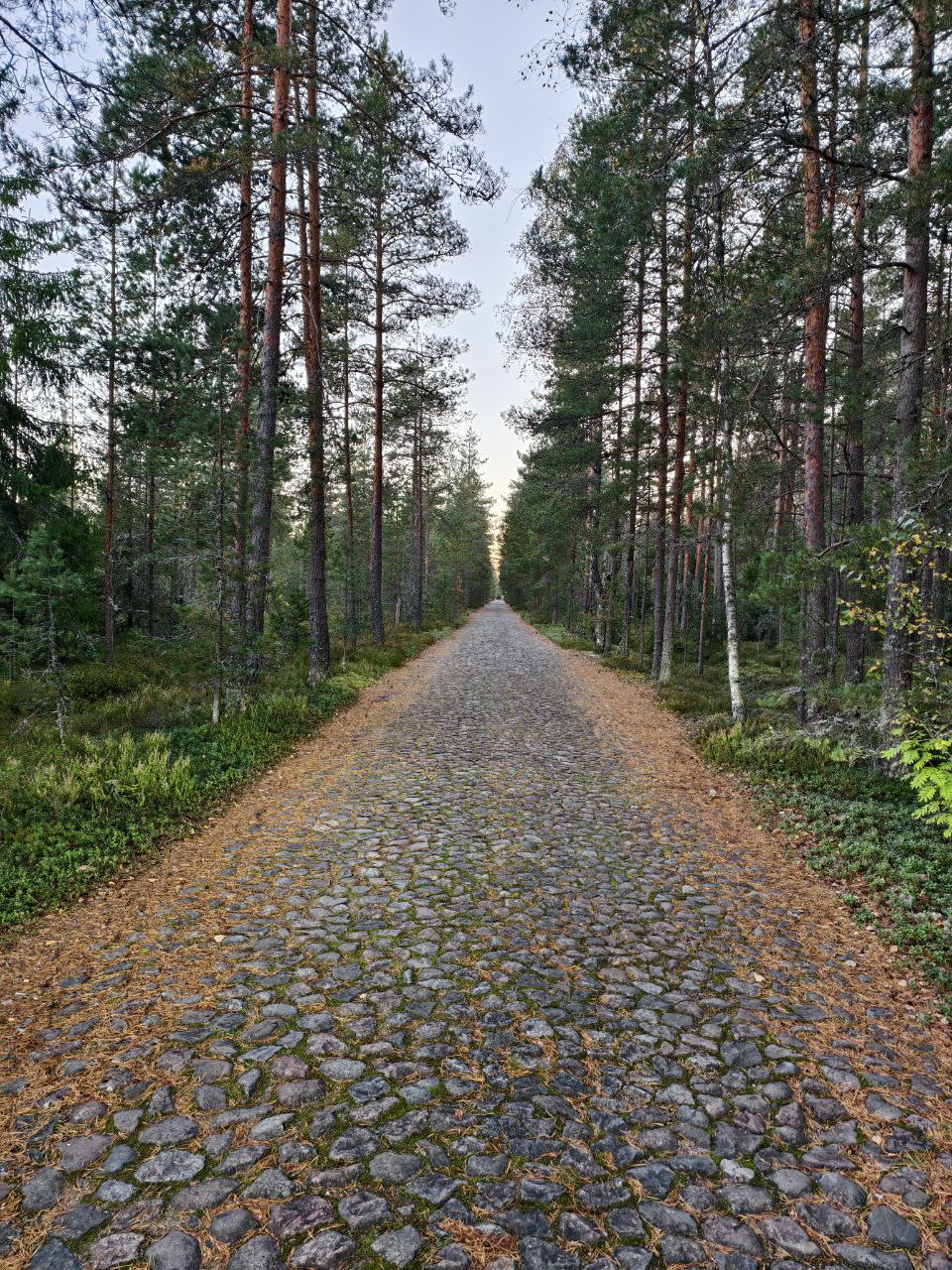 Сравнятор, драники с лососем и близкие люди: мои итоги 2025 года