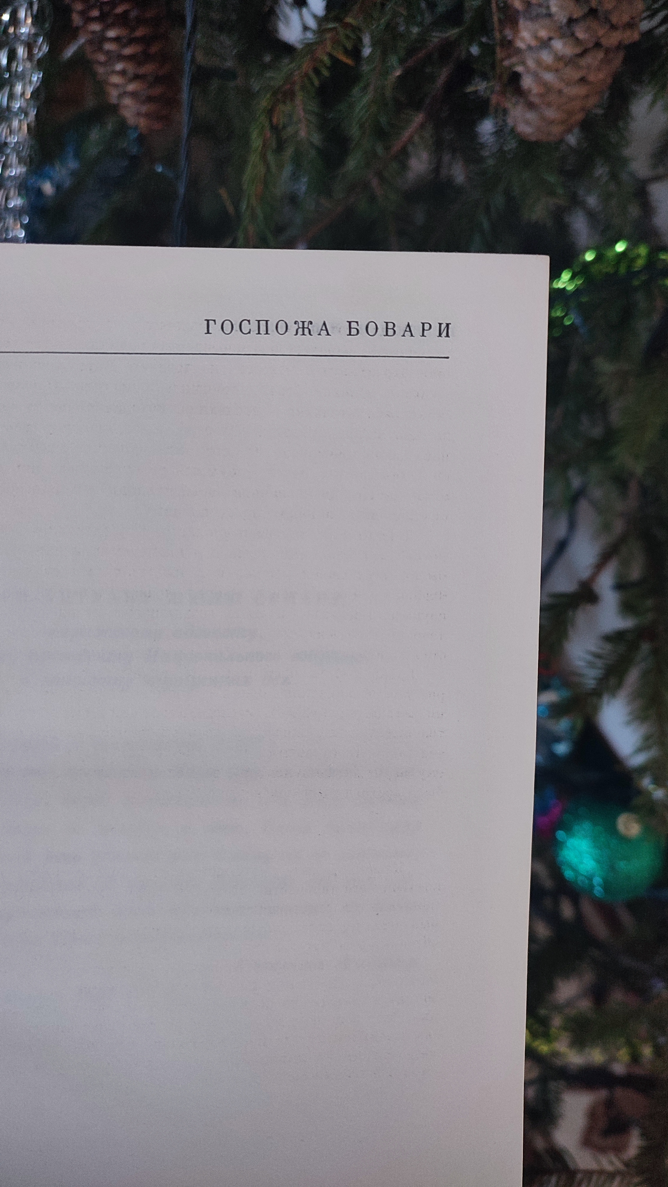 В январе я прочла роман «Мадам Бовари» и потеряла желание читать книги