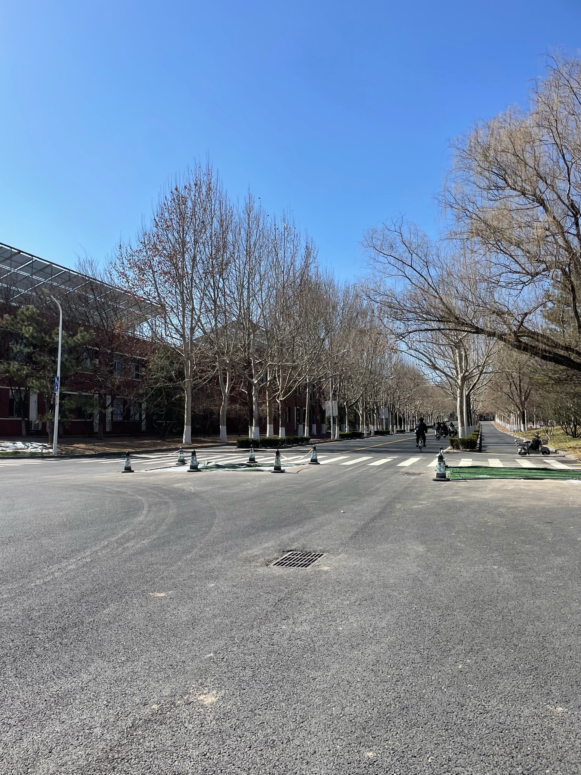 Я учусь в Пекинском технологическом институте: тринадцатый день в Китае