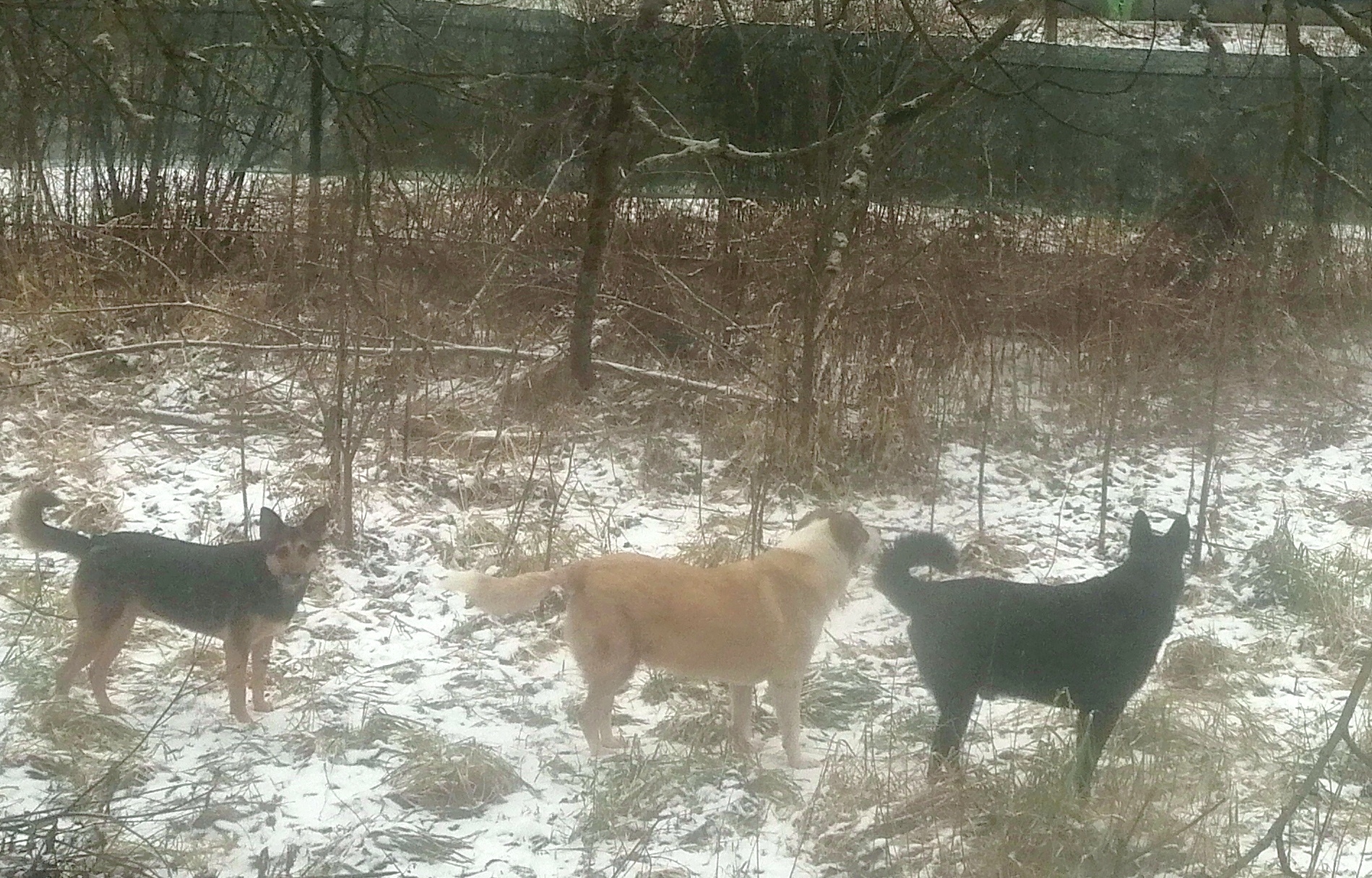 Как дизайнеру начать работать из дома?