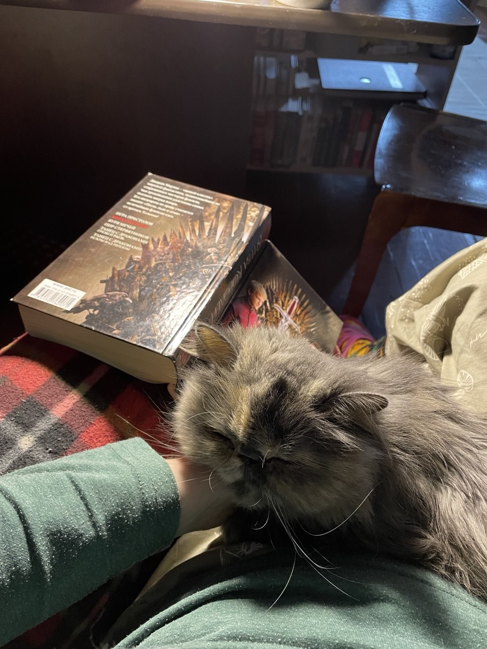 Я планирую прочитать серию «Песнь льда и огня» Джорджа Мартина и другие две книги о Вестеросе