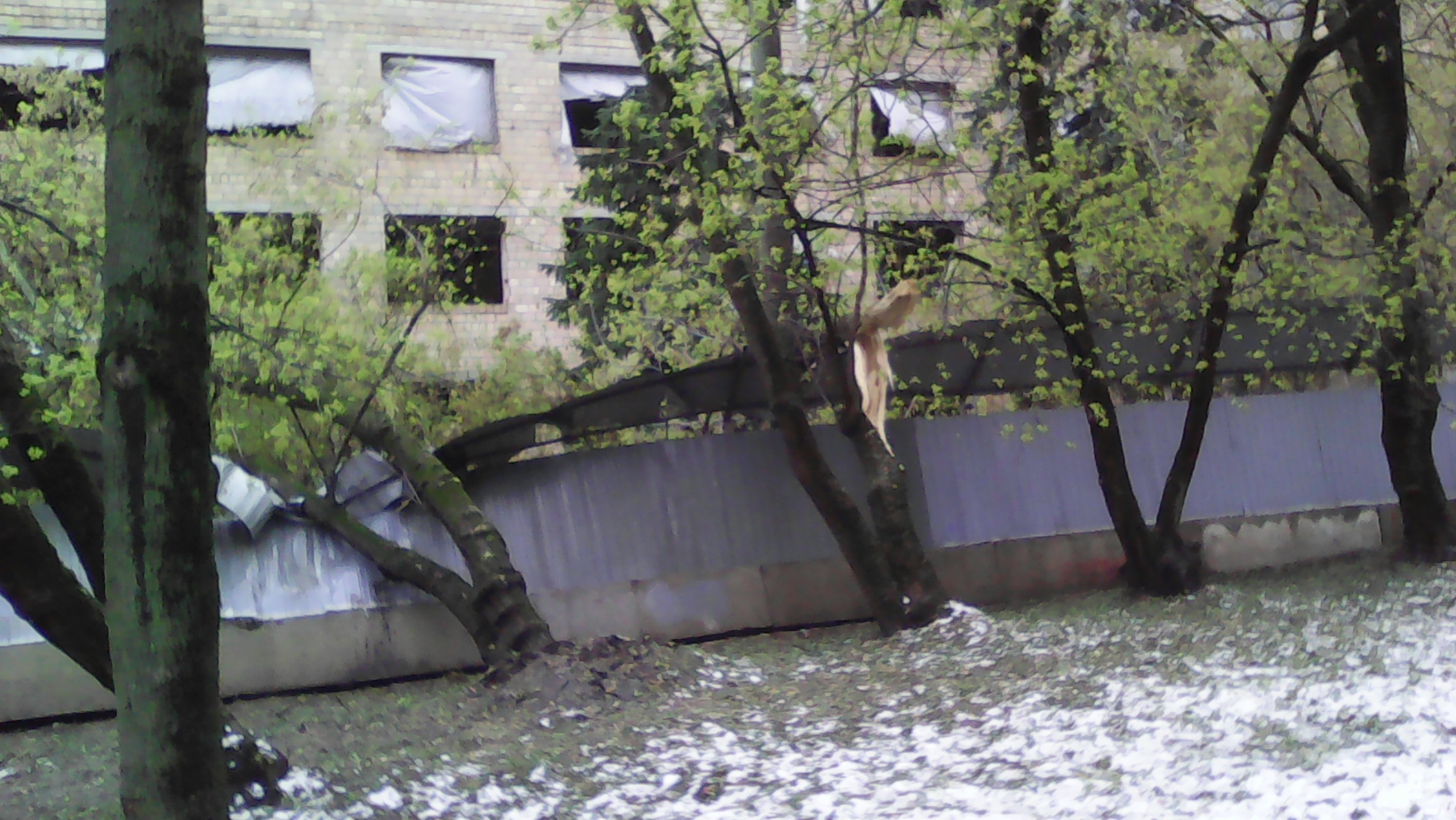 Мобильное фото: заброшки, упавшие деревья и заборы