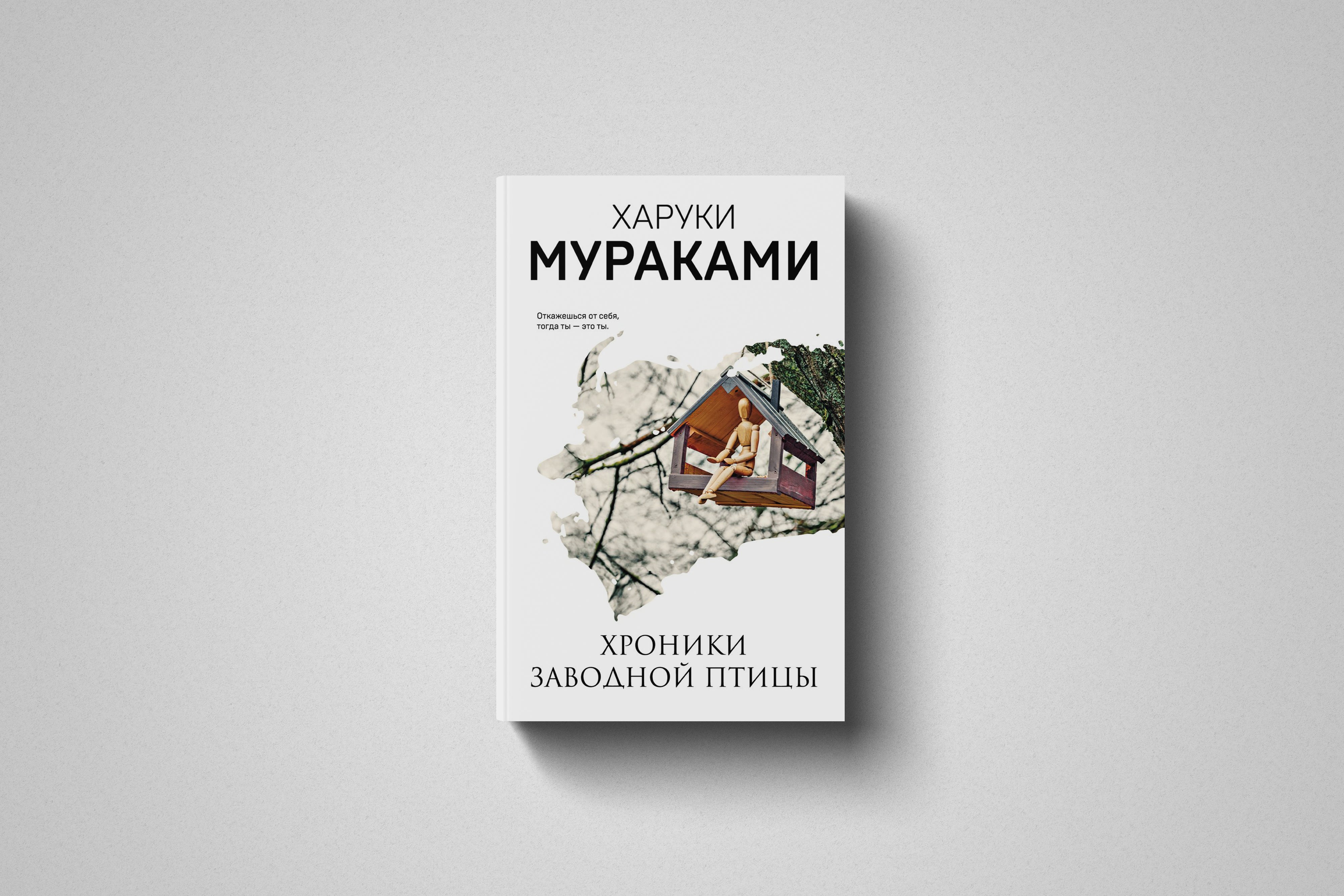 Японская литература и медицинский научпоп: как книги стали для меня способом борьбы с тревогой
