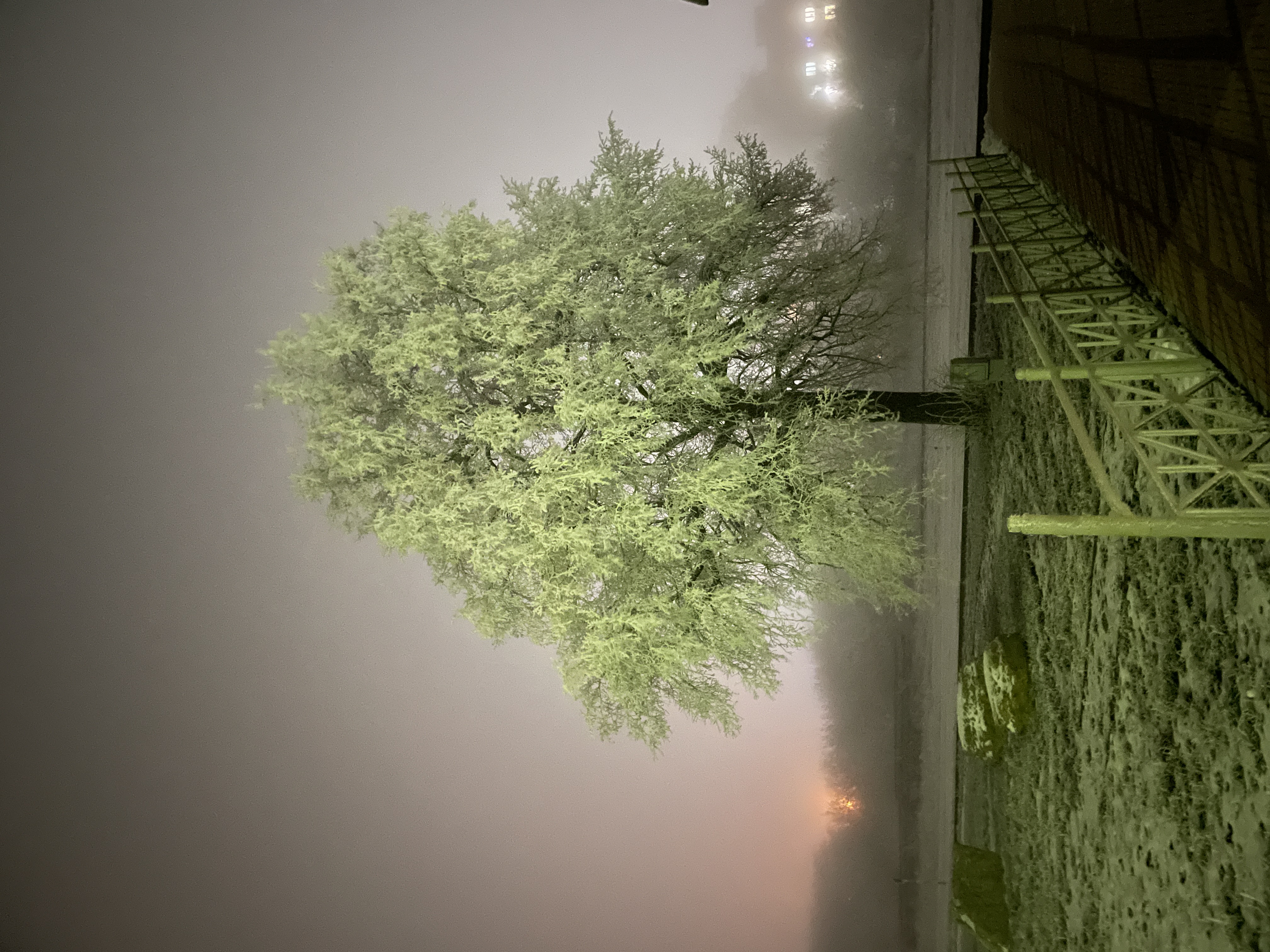 Фотоальбом: как я съездила в Волово и Тулу в декабре 2025 года