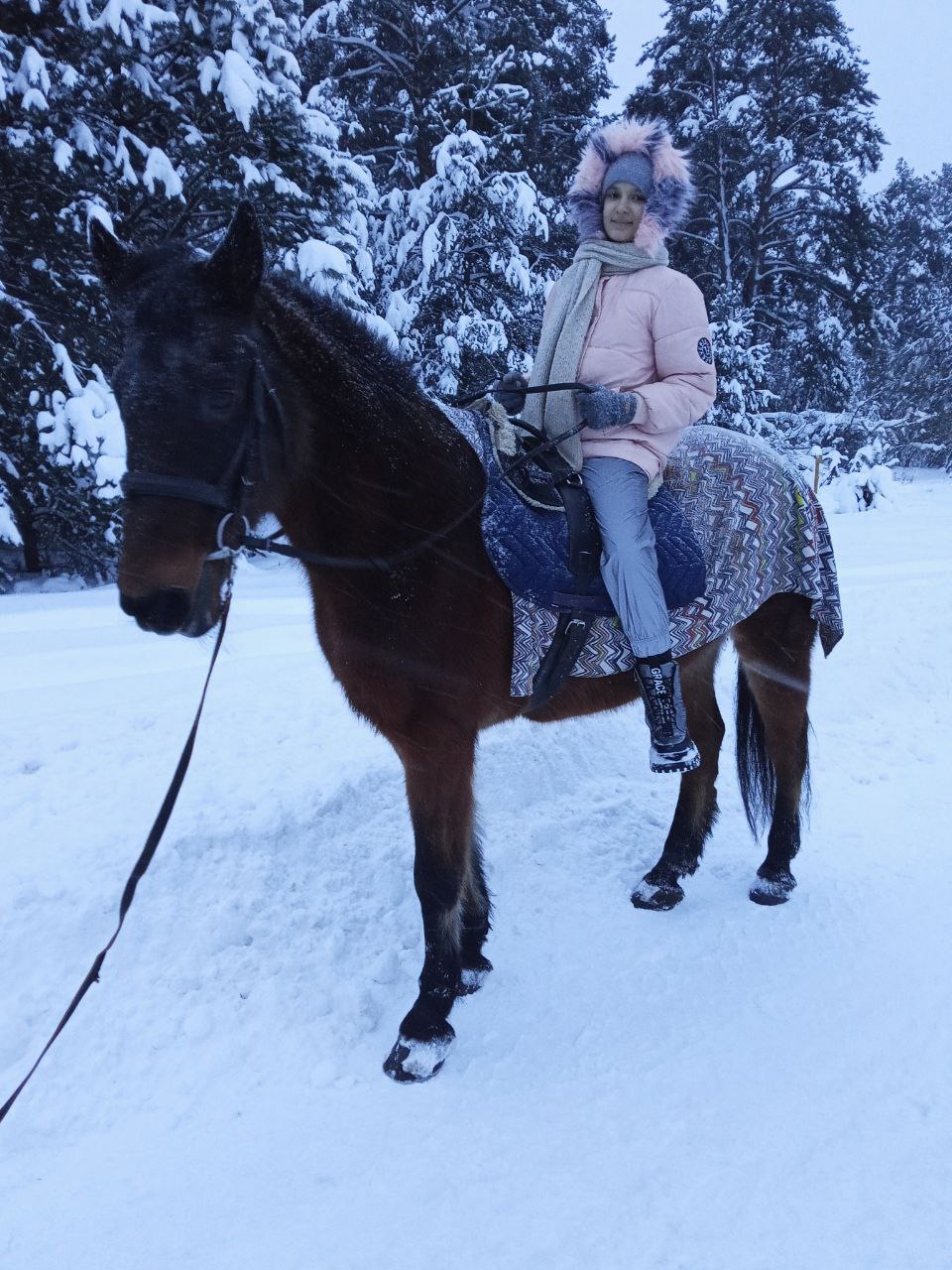 Фото питомца: лошадь Электра катает нашу внучку в зимнем лесу