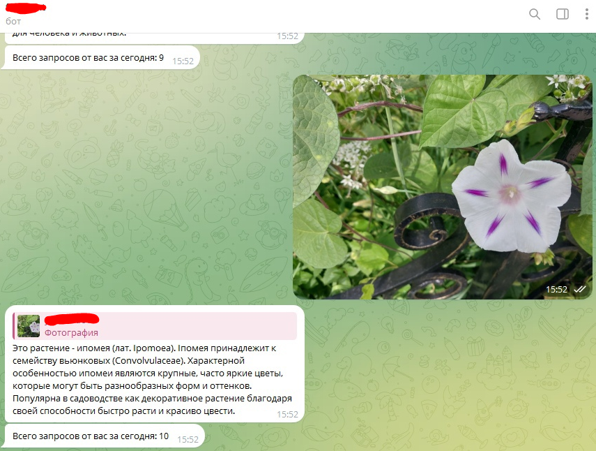 Я создала бот, который распознает растения