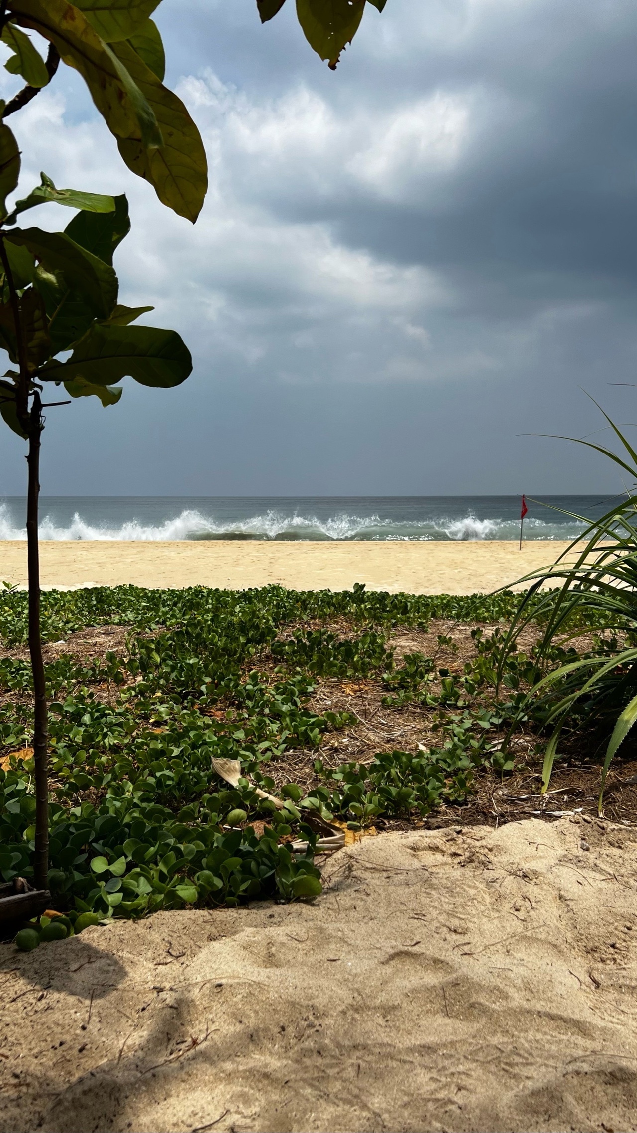 Моя анкета: Салют Салатиков