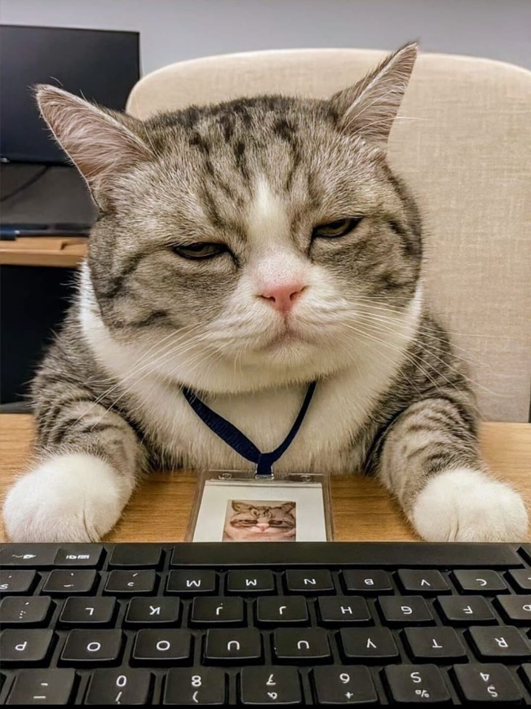 «Реалии рынка труда шокируют и ужасают»: как я искала работу в 2026 году