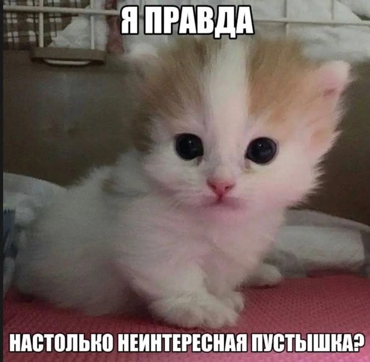 Как наладить отношения с друзьями?