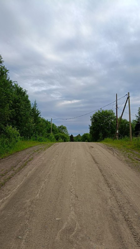 Как вепсы научили меня тому, что тишина — не пустота