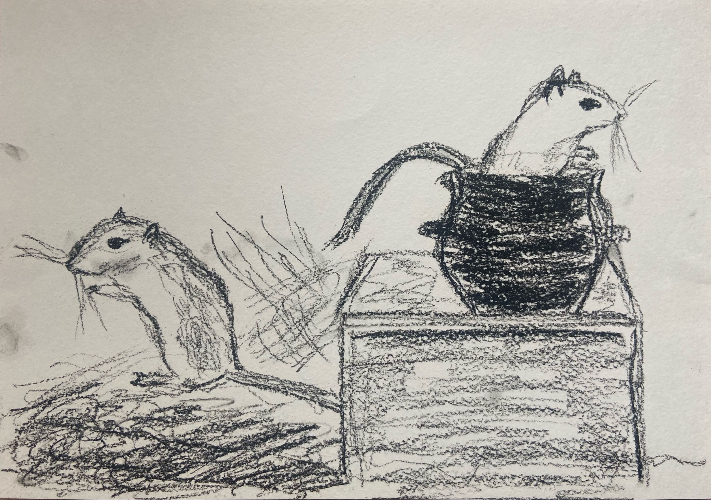 Мои рисунки: наброски углем и сангиной