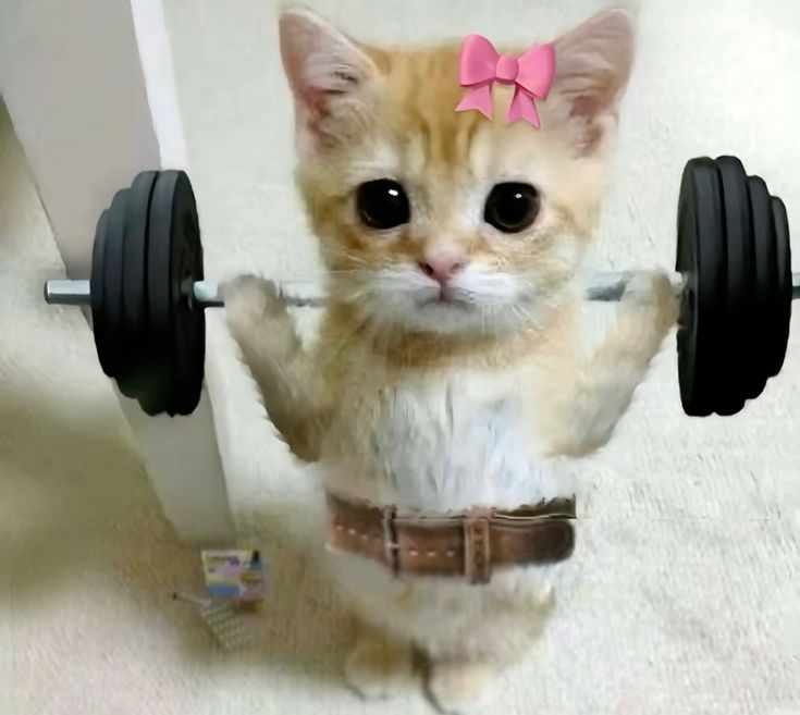 Я хочу обрести «суперсилу» с помощью регулярных силовых тренировок