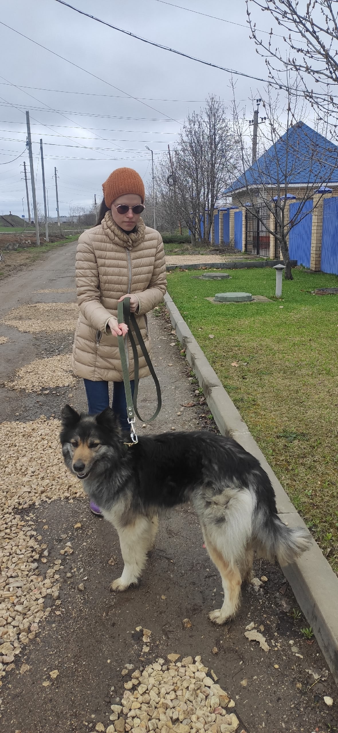 Фото питомца: собака Юна широко улыбается — в отличие от меня