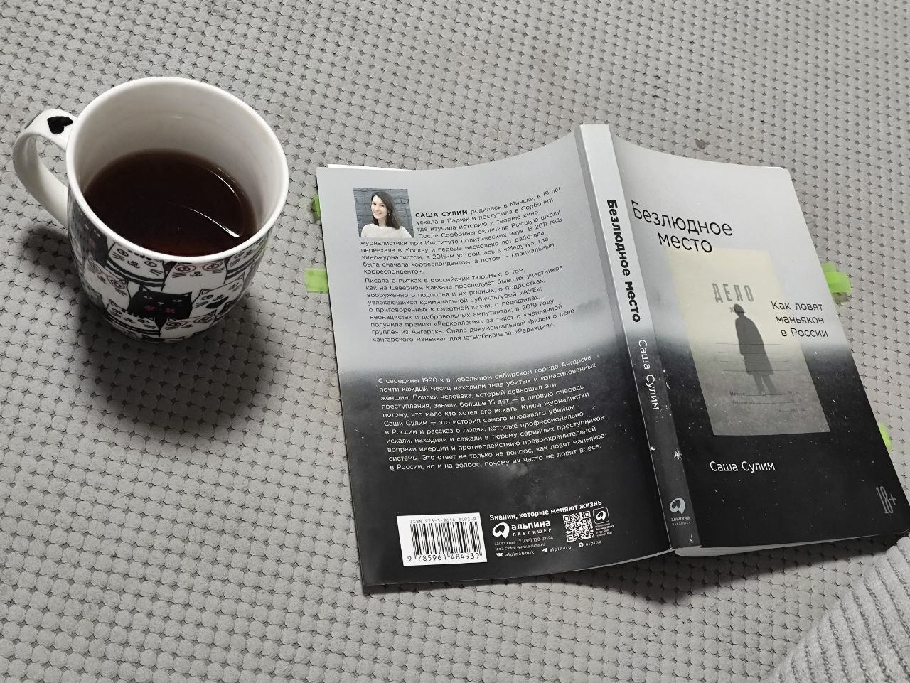 Третья книга года: «Безлюдное место: Как ловят маньяков в России» Саши Сулим