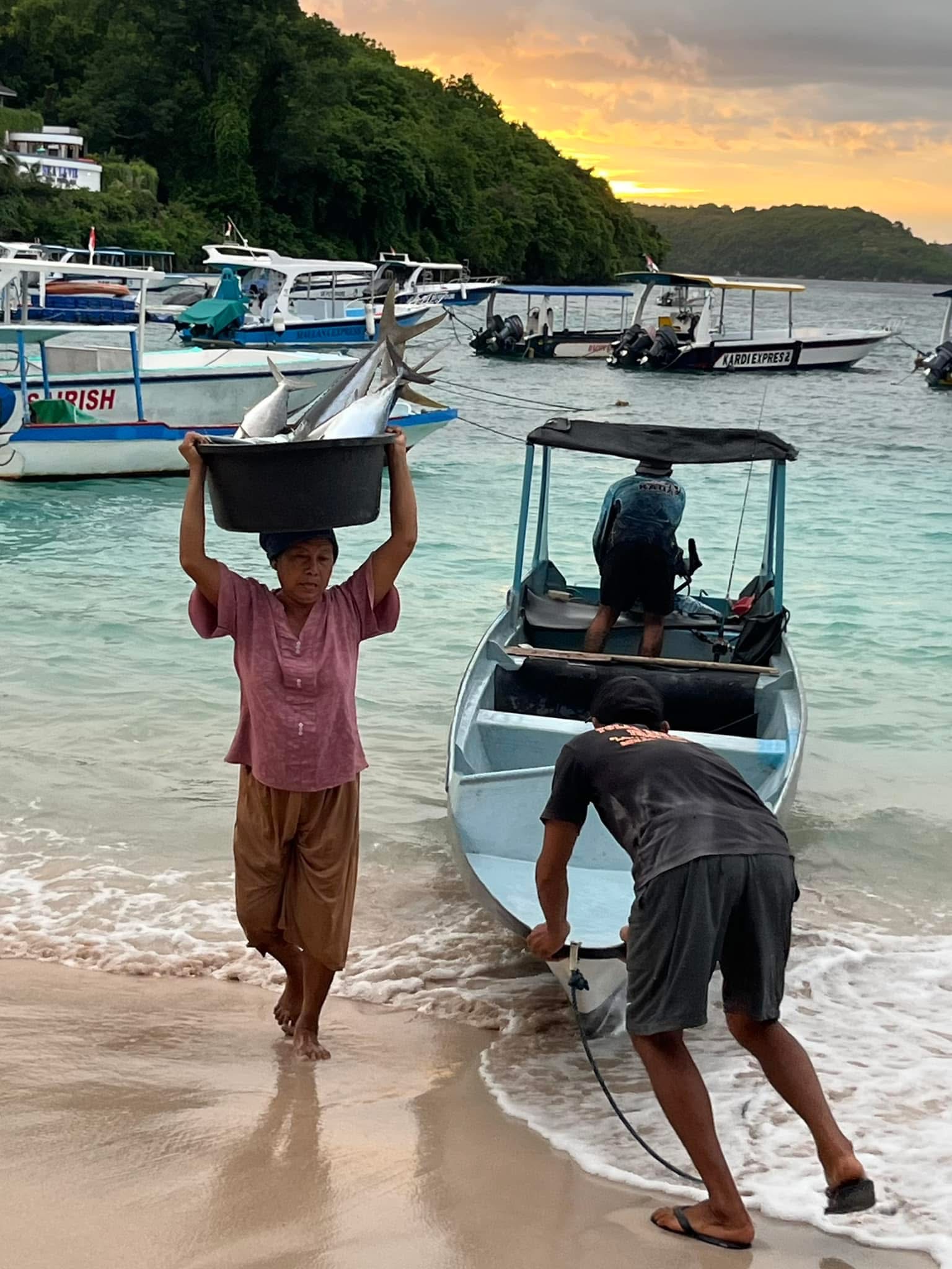 Насекомые, шум, влажный климат и слабая инфраструктура: почему я больше не поеду на Бали