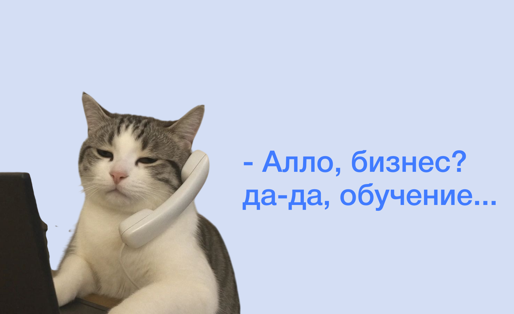 Корпоративное обучение: что кроется между ожиданиями бизнеса и реальностью