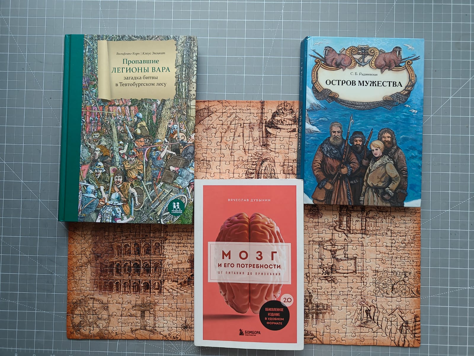 История и психология с разных сторон: что я читала в ноябре