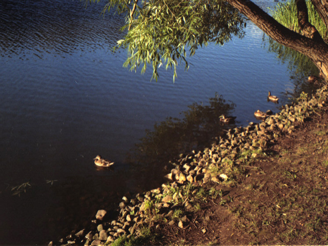 Фото на пленку: формы воды